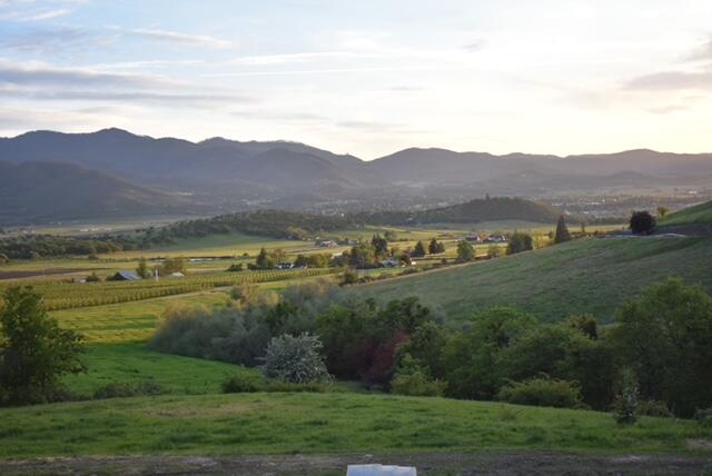 3555 Payne Road Medford, OR 97504 - Photo 43 of 46 thumbnail_DSC_0039
