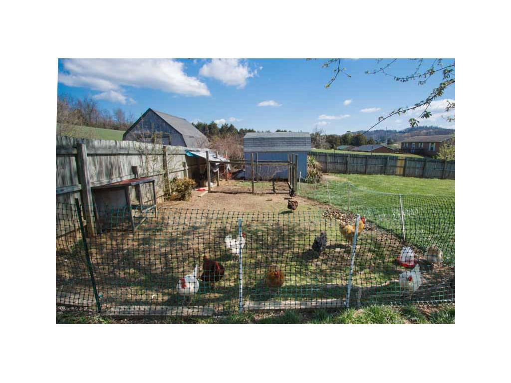 770 Old Stagecoach Road Jonesborough, TN 37659 - Photo 17 of 24 Enjoy living off the land