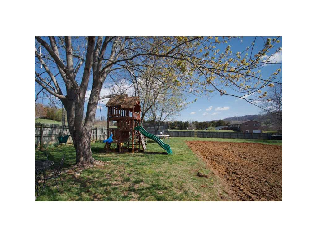 770 Old Stagecoach Road Jonesborough, TN 37659 - Photo 18 of 24 Backyard