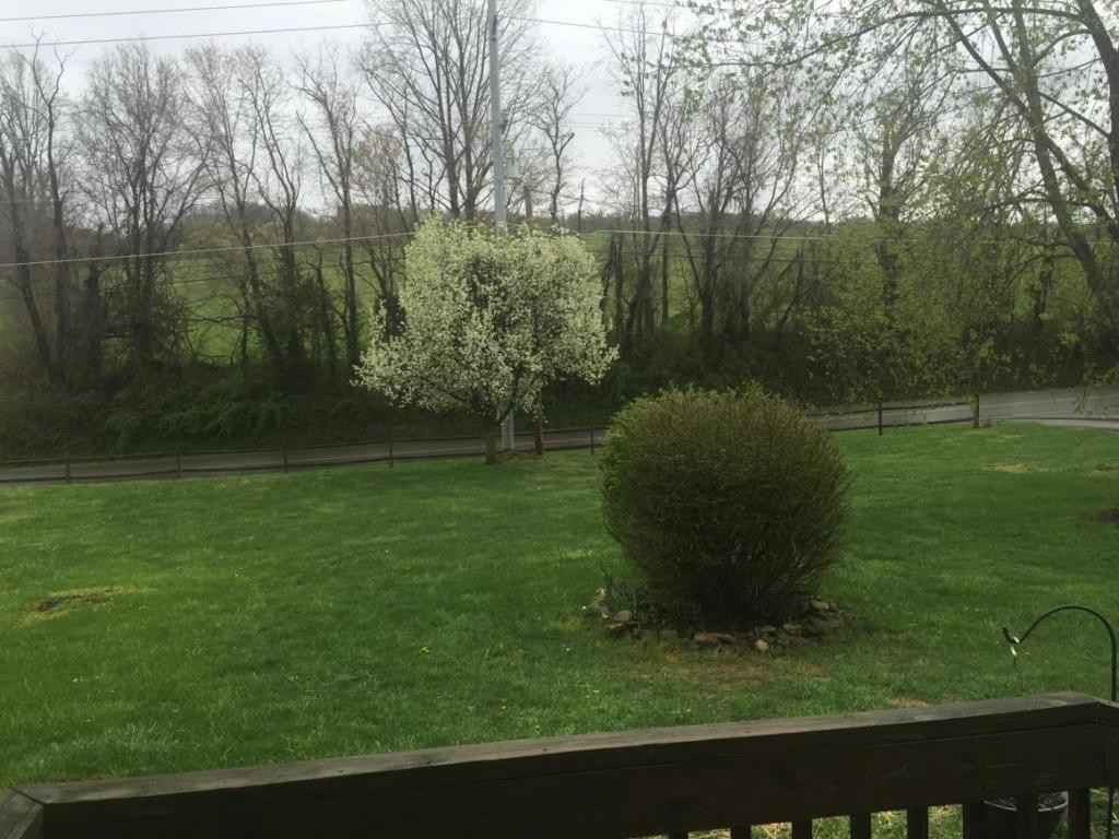 770 Old Stagecoach Road Jonesborough, TN 37659 - Photo 22 of 24 View from the front