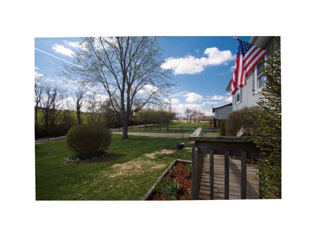 770 Old Stagecoach Road Jonesborough, TN 37659 - Photo 3 of 24 Front Yard