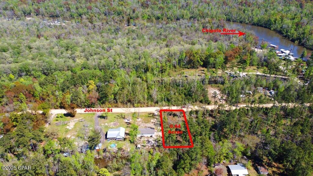 Tbd Johnson Street Wewahitchka, FL 32465 - Photo 4 of 4