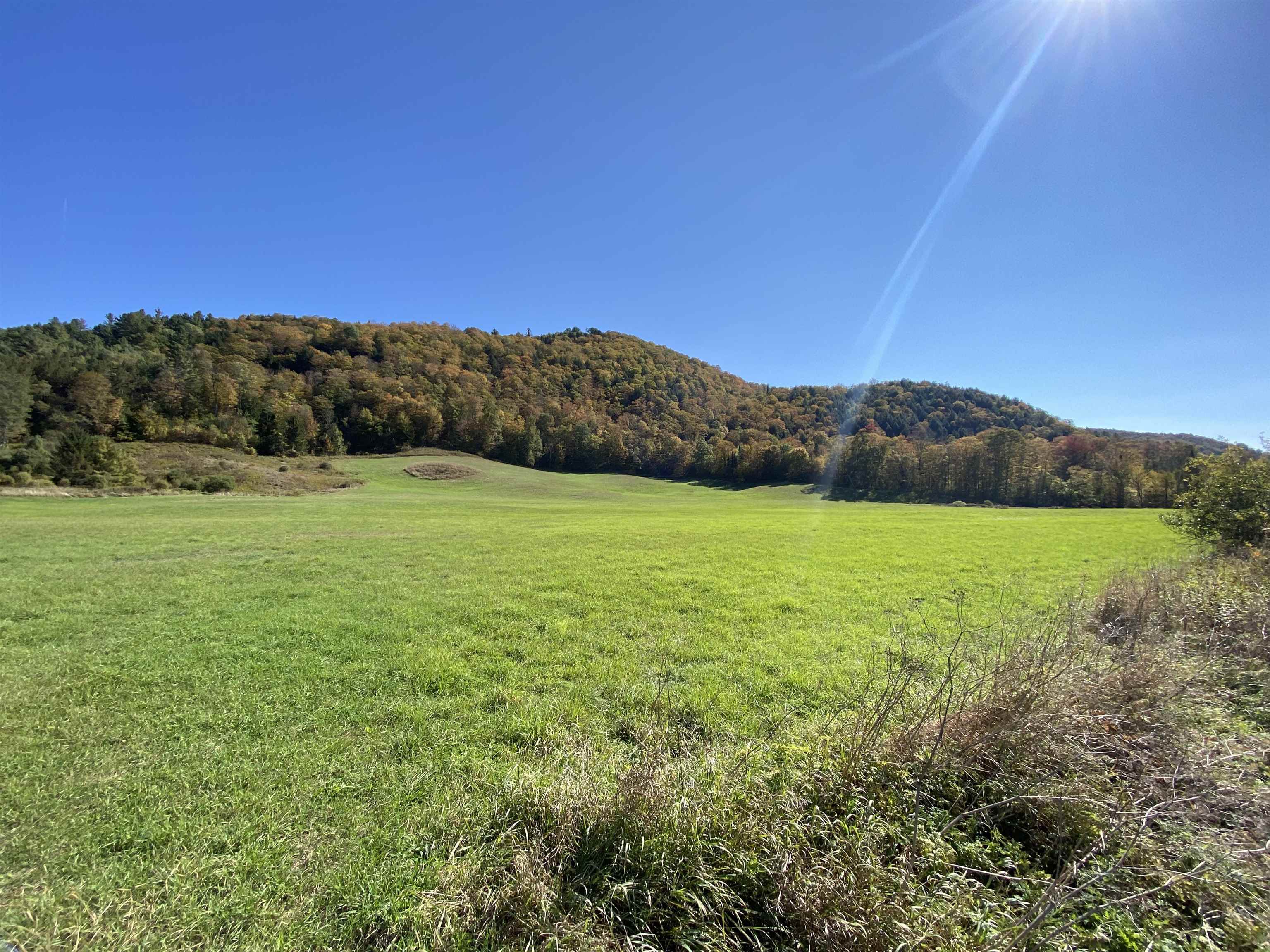 620 Highway 110 Tunbridge, VT 05077 - Photo 2 of 9