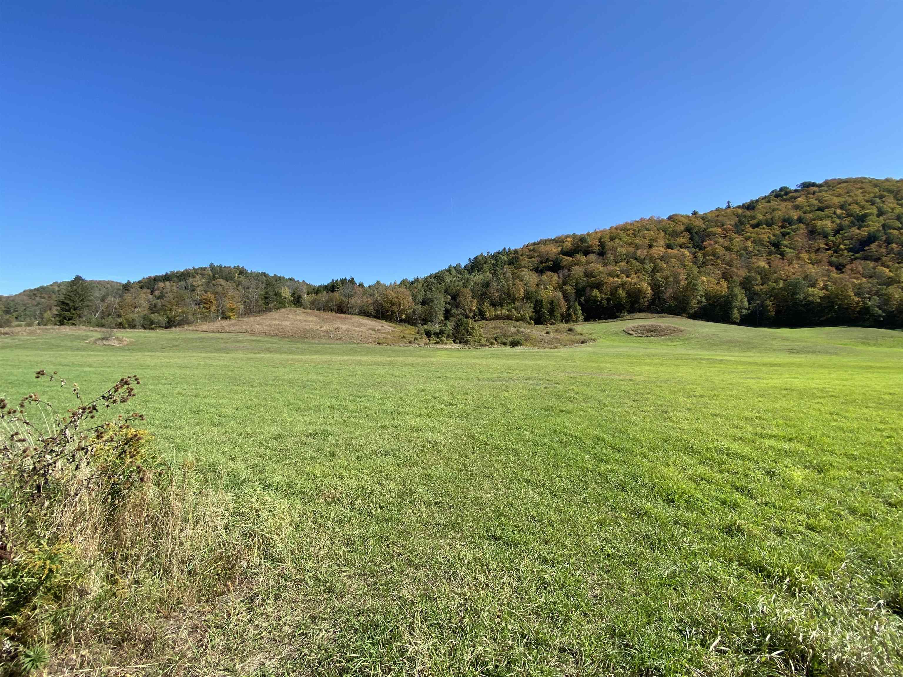 620 Highway 110 Tunbridge, VT 05077 - Photo 3 of 9