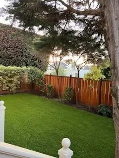 $13,000 | 3536 Clay Street, San Francisco, CA 94118