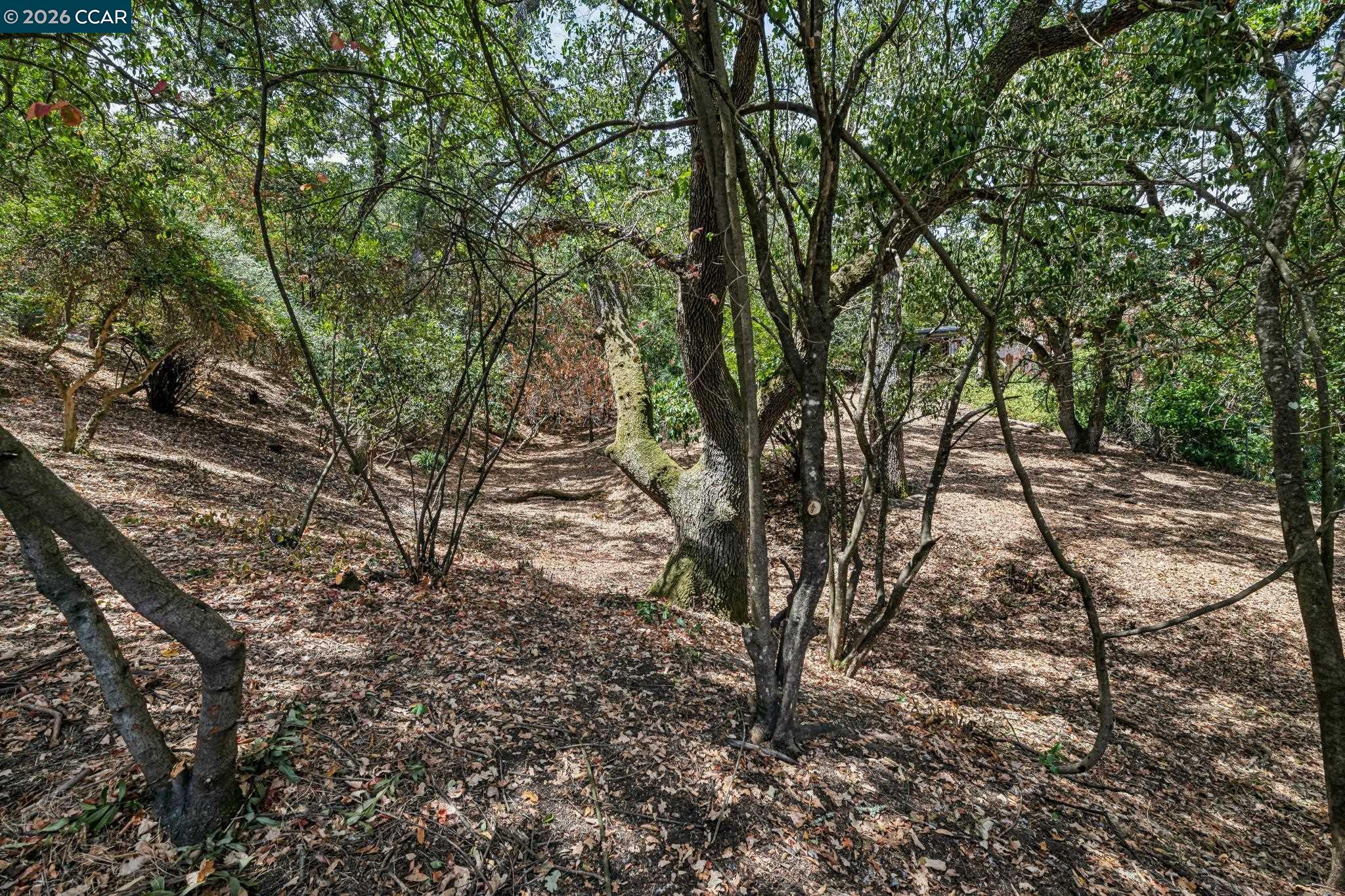Ridge Road Lafayette, CA 94549 - Photo 14 of 30 Gallery Image 14