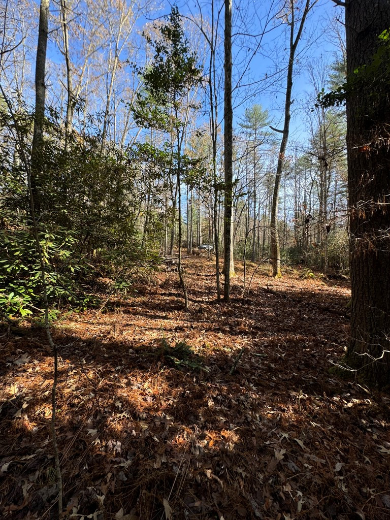 0 Rockridge Road Murphy, NC 28906 - Photo 7 of 9