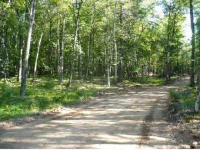 Near Aberdeen Road Rhinelander, WI 54501 - Photo 3 of 4 Gallery Image 3