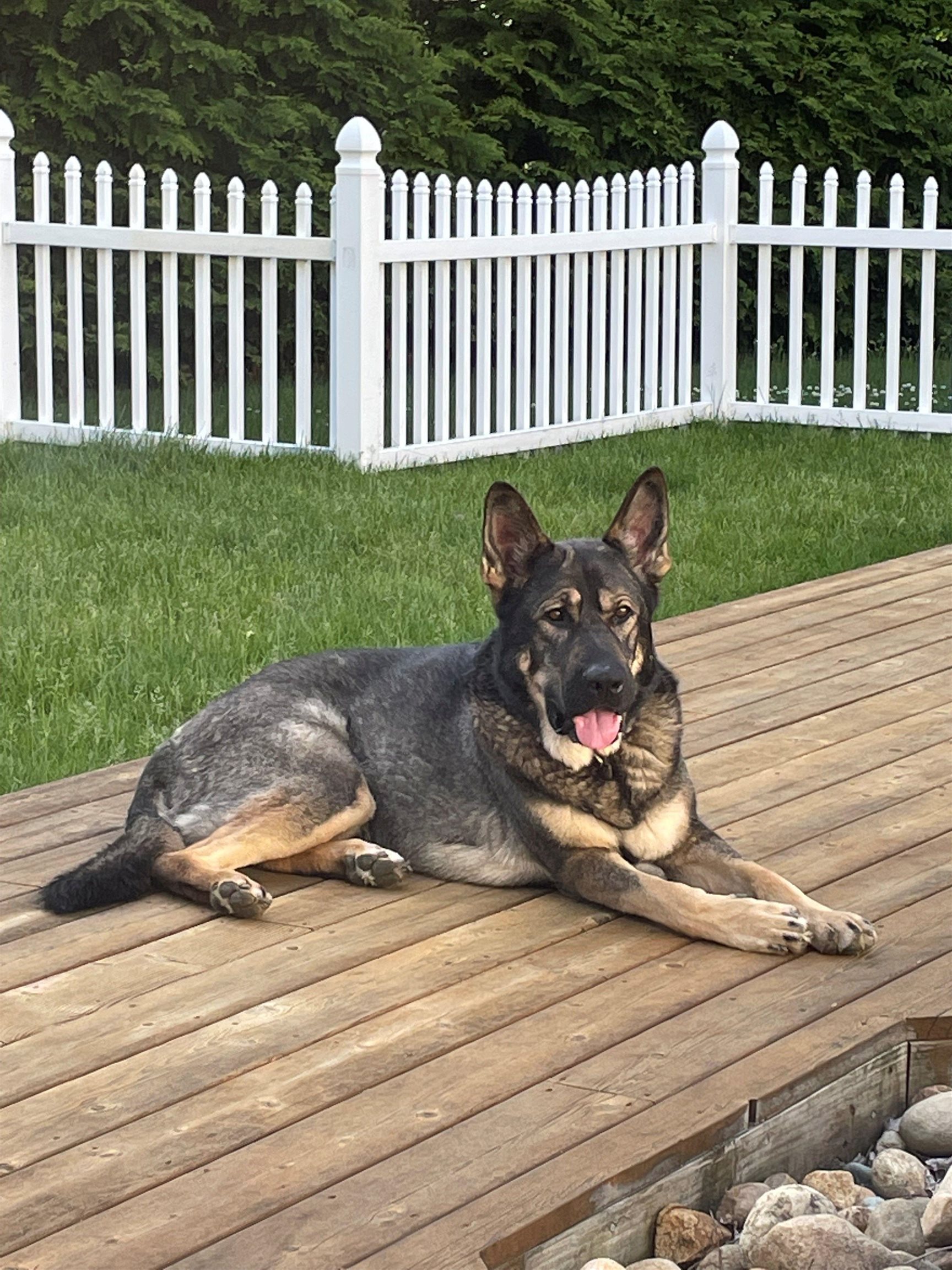 125 Kelsey Road Nottingham, NH 03290 - Photo 53 of 55