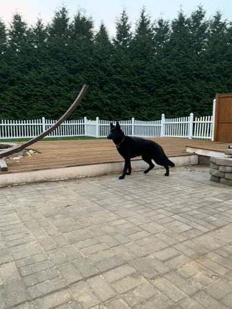 $779,000 | 125 Kelsey Road, Nottingham, NH 03290