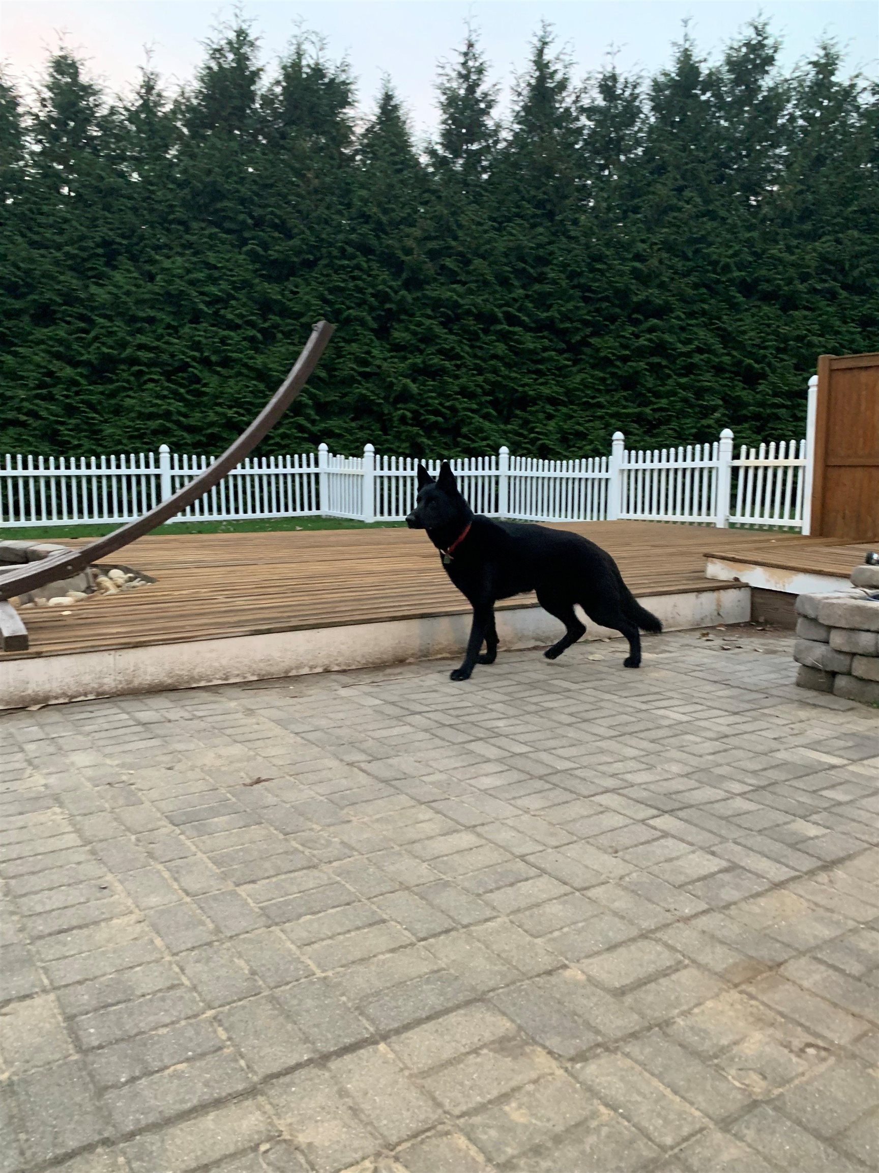 125 Kelsey Road Nottingham, NH 03290 - Photo 6 of 55