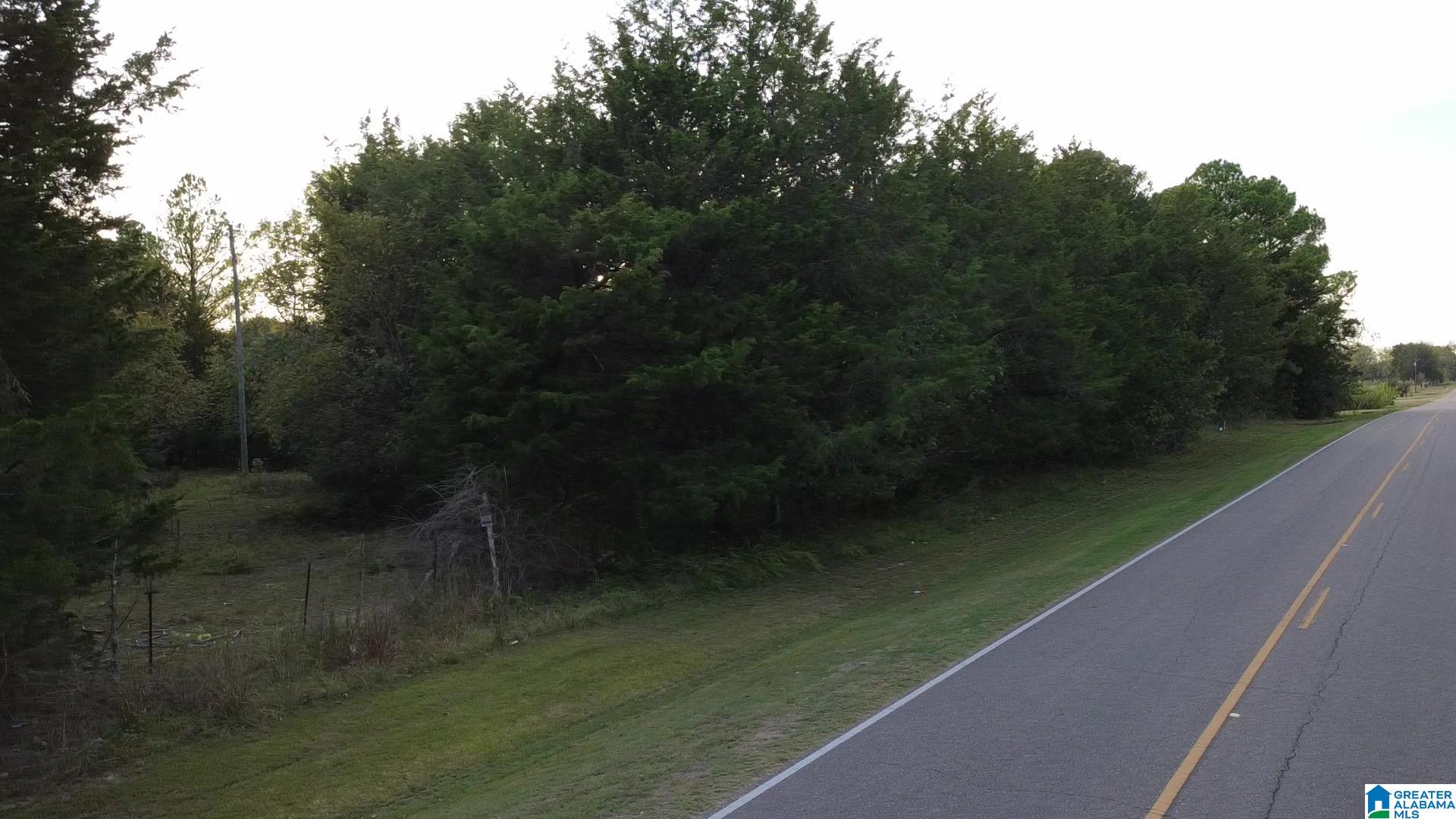 0 Shaw Road Uniontown, AL 36786 - Photo 5 of 8