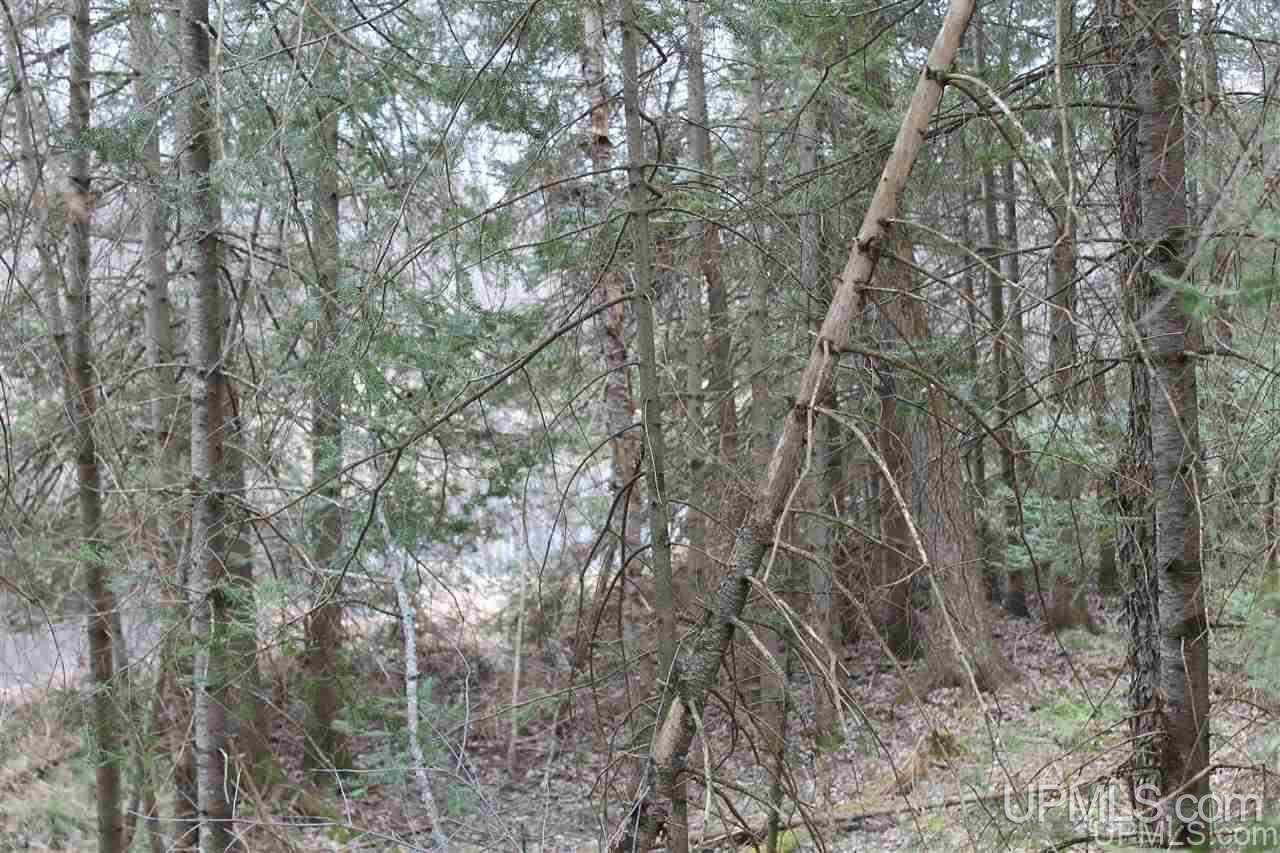 Tbd Off Fr 5252 - (the Interior Road Watersmeet, MI 49969 - Photo 10 of 27 Gallery Image 10
