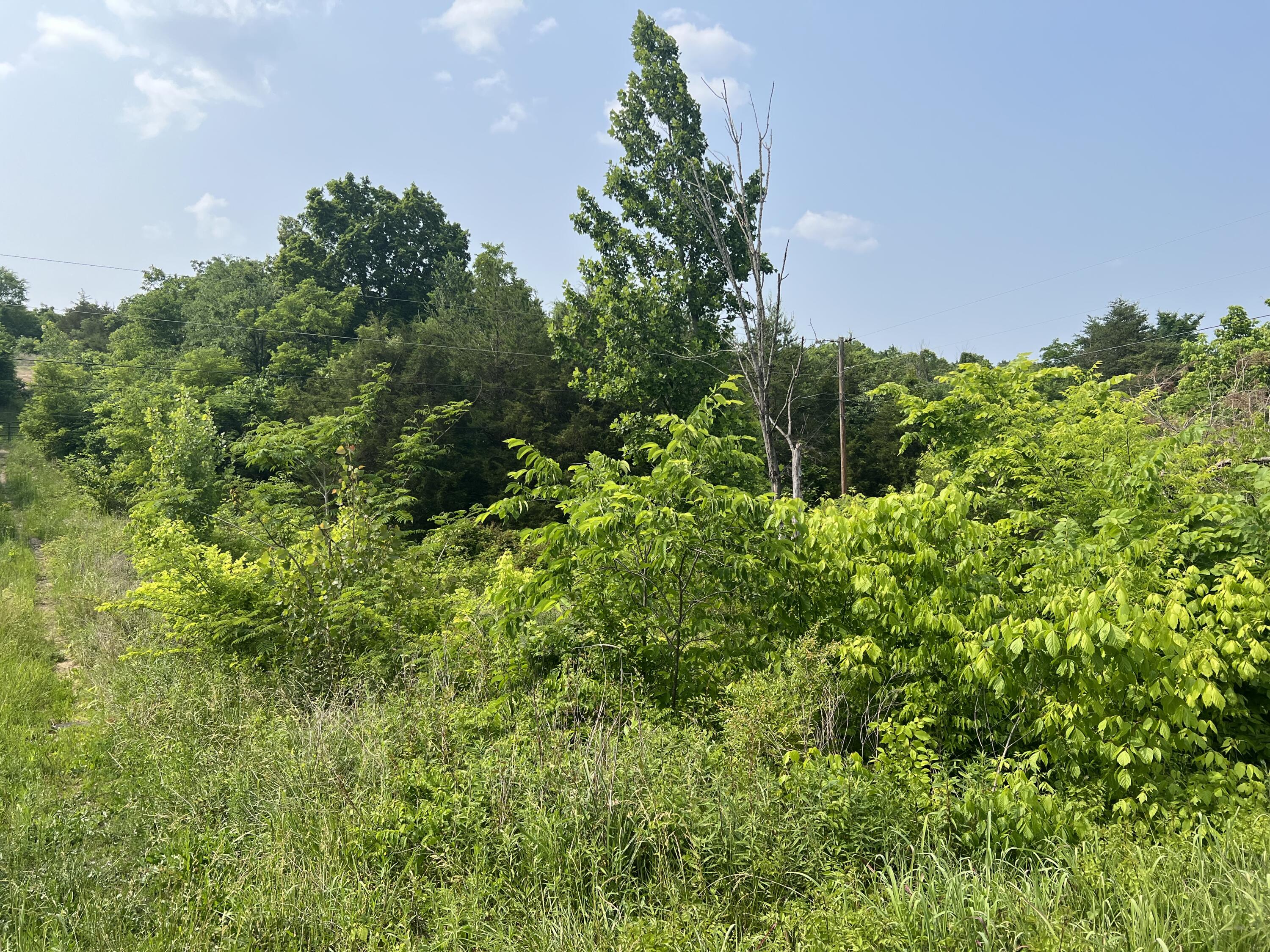 0 Little Warrensburg Road, Unit 2 Midway, TN 37809 - Photo 1 of 5 A6BEC7EE-7DFF-4402-8BD7-E858E9C93292