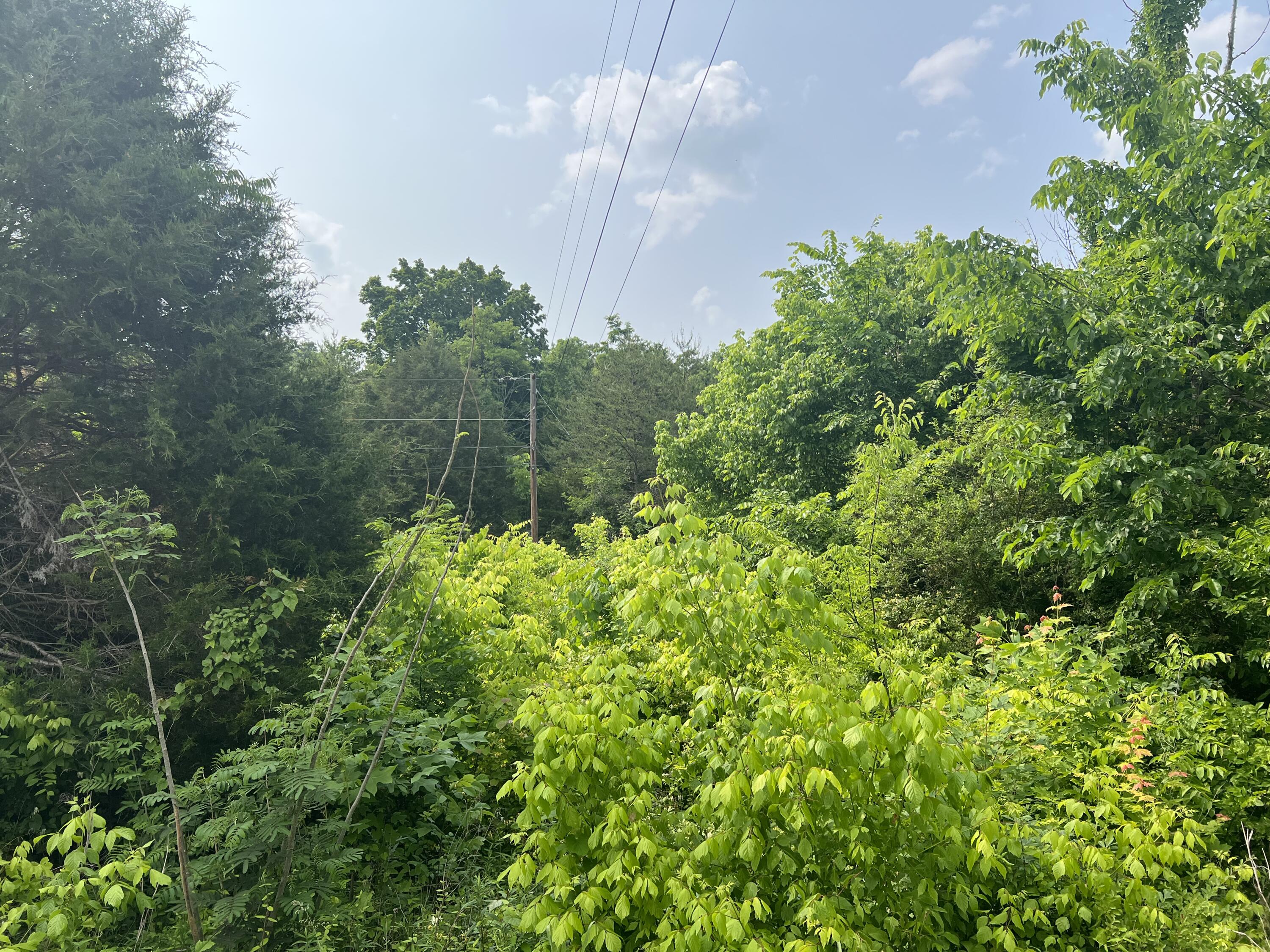 0 Little Warrensburg Road, Unit 2 Midway, TN 37809 - Photo 2 of 5 71C61649-16AB-47C2-B506-5D0634593200