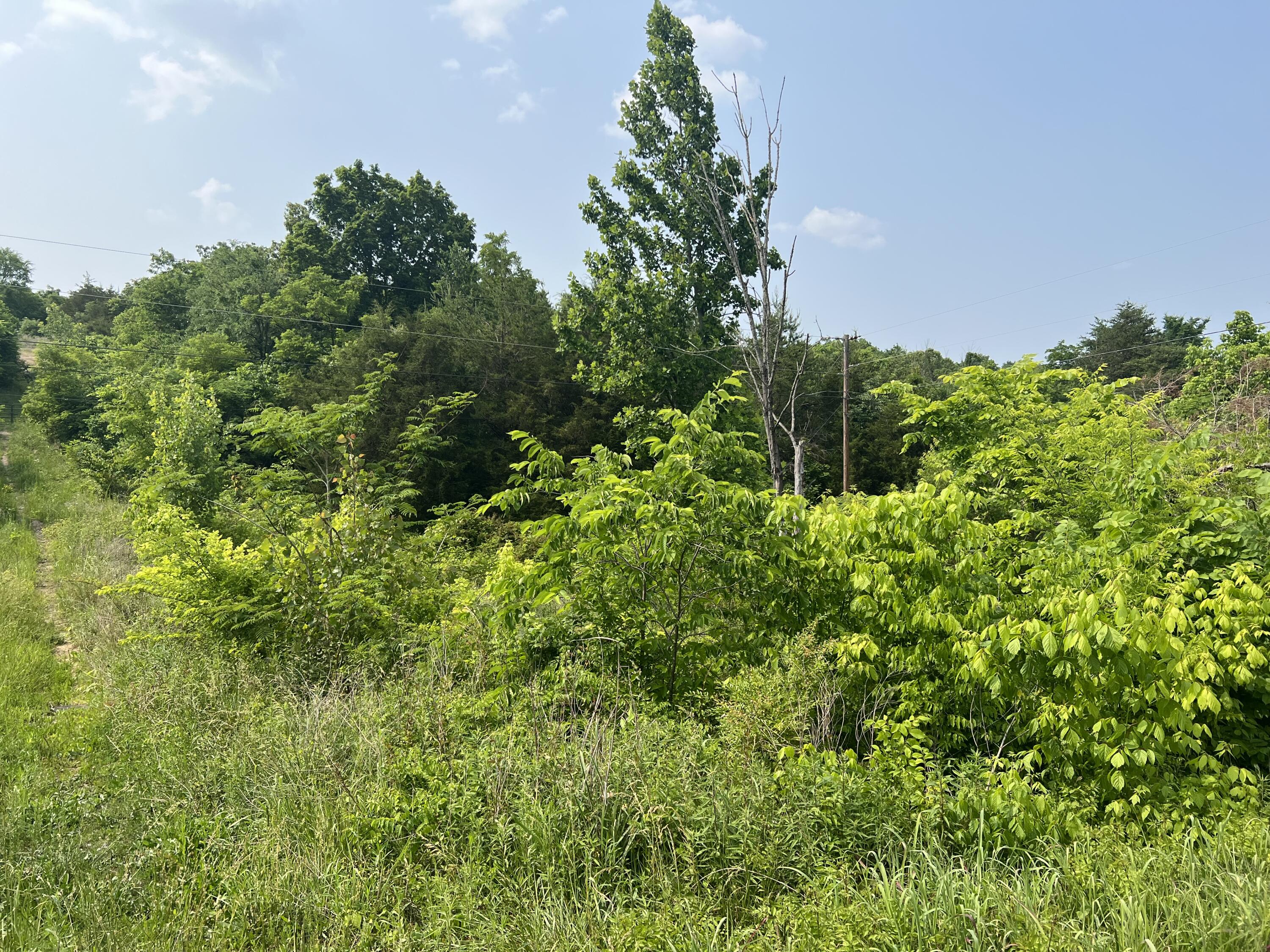 0 Little Warrensburg Road, Unit 2 Midway, TN 37809 - Photo 3 of 5 5C354851-9861-4D76-8A91-8CCB4DEFA0EF