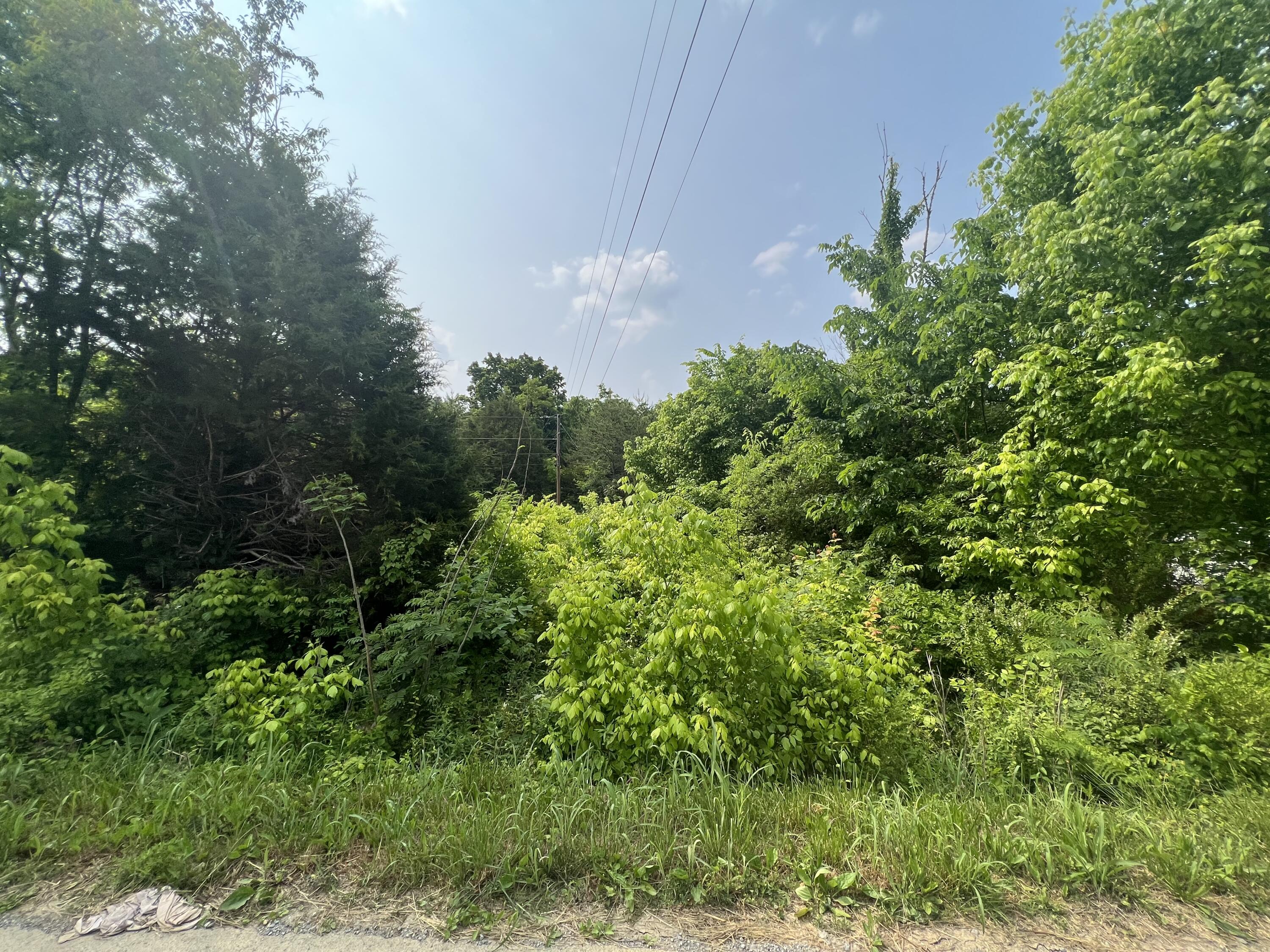 0 Little Warrensburg Road, Unit 2 Midway, TN 37809 - Photo 4 of 5 ADC239E1-143F-4D61-9D2E-E2F0F2E982D9