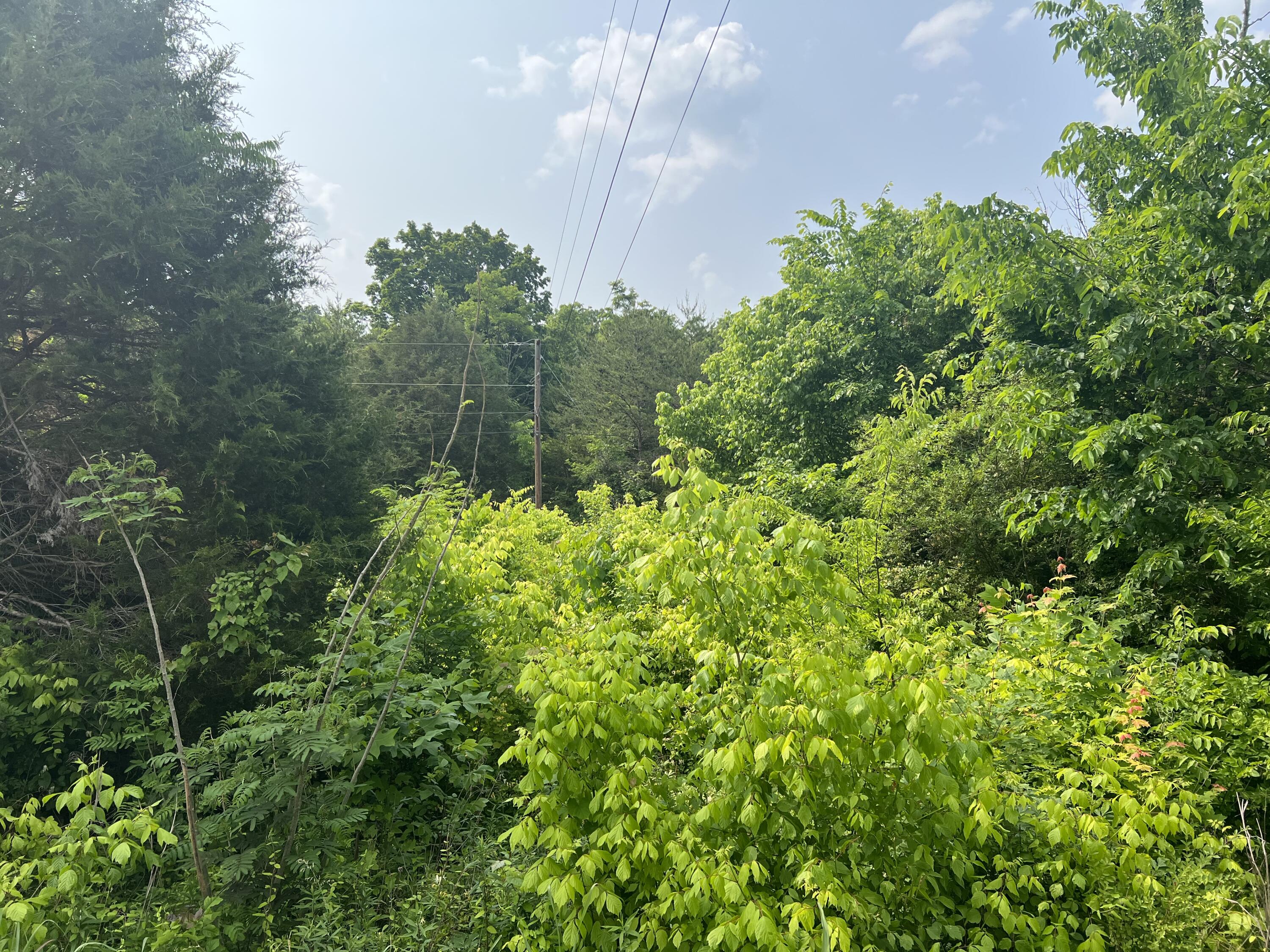 0 Little Warrensburg Road, Unit 2 Midway, TN 37809 - Photo 5 of 5 9A0CA0BF-A23B-41D3-A339-87B098A20DD5