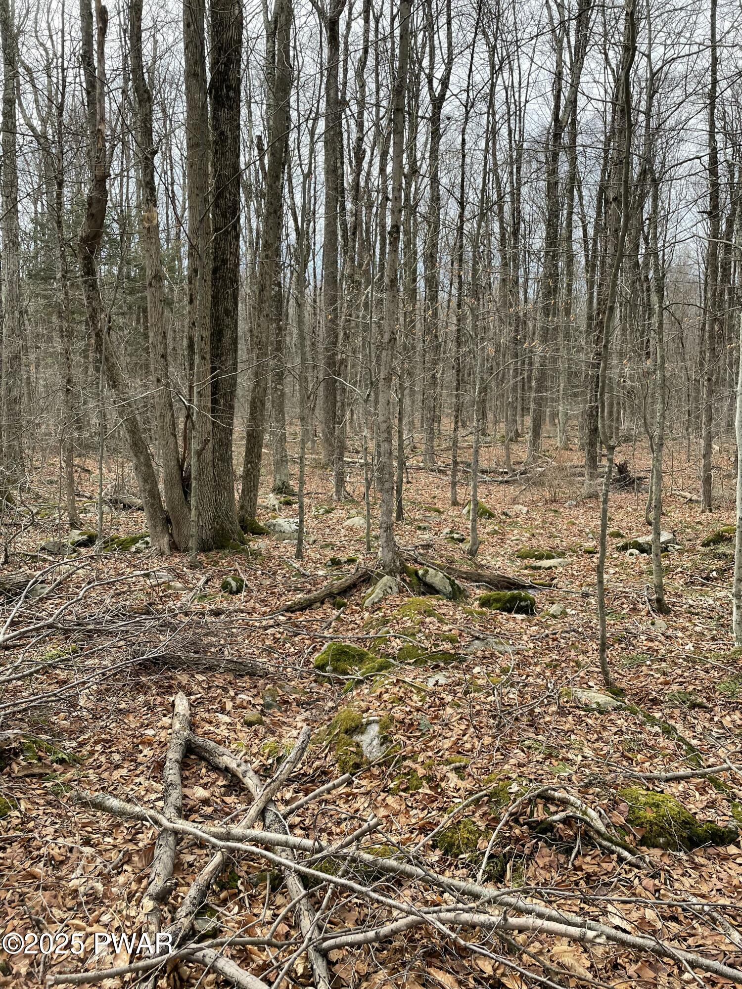 Lot 270 Radcliff Lane Bushkill, PA 18324 - Photo 8 of 10