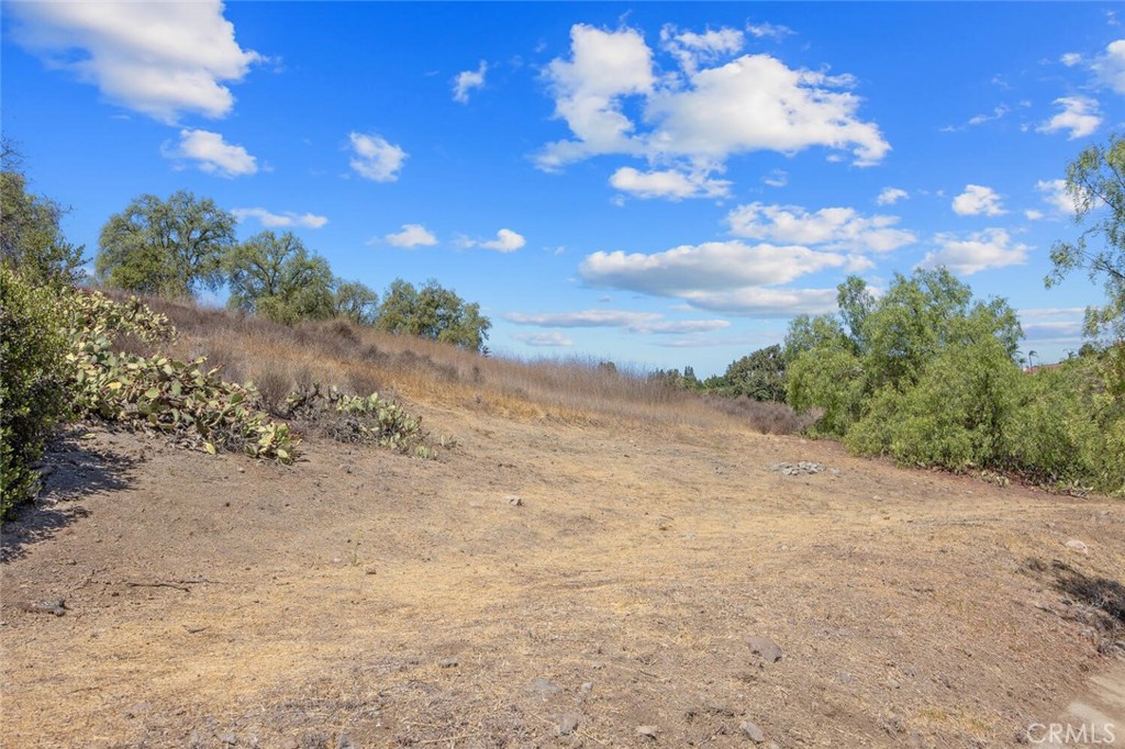 12738 Rosedale Court Camarillo, CA 93012 - Photo 48 of 66