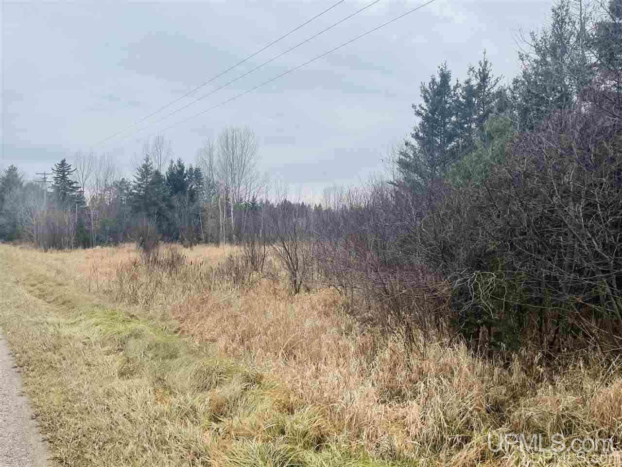 Tbd St Nicholas Road Rock, MI 49880 - Photo 7 of 22