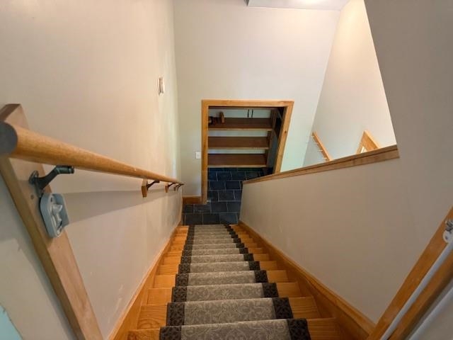 16568 Wagner Road Lake Ann, MI 49650 - Photo 59 of 79 1947392-51a70e5c-7d7d-4a24-a232-e4084e5349b8.JPG