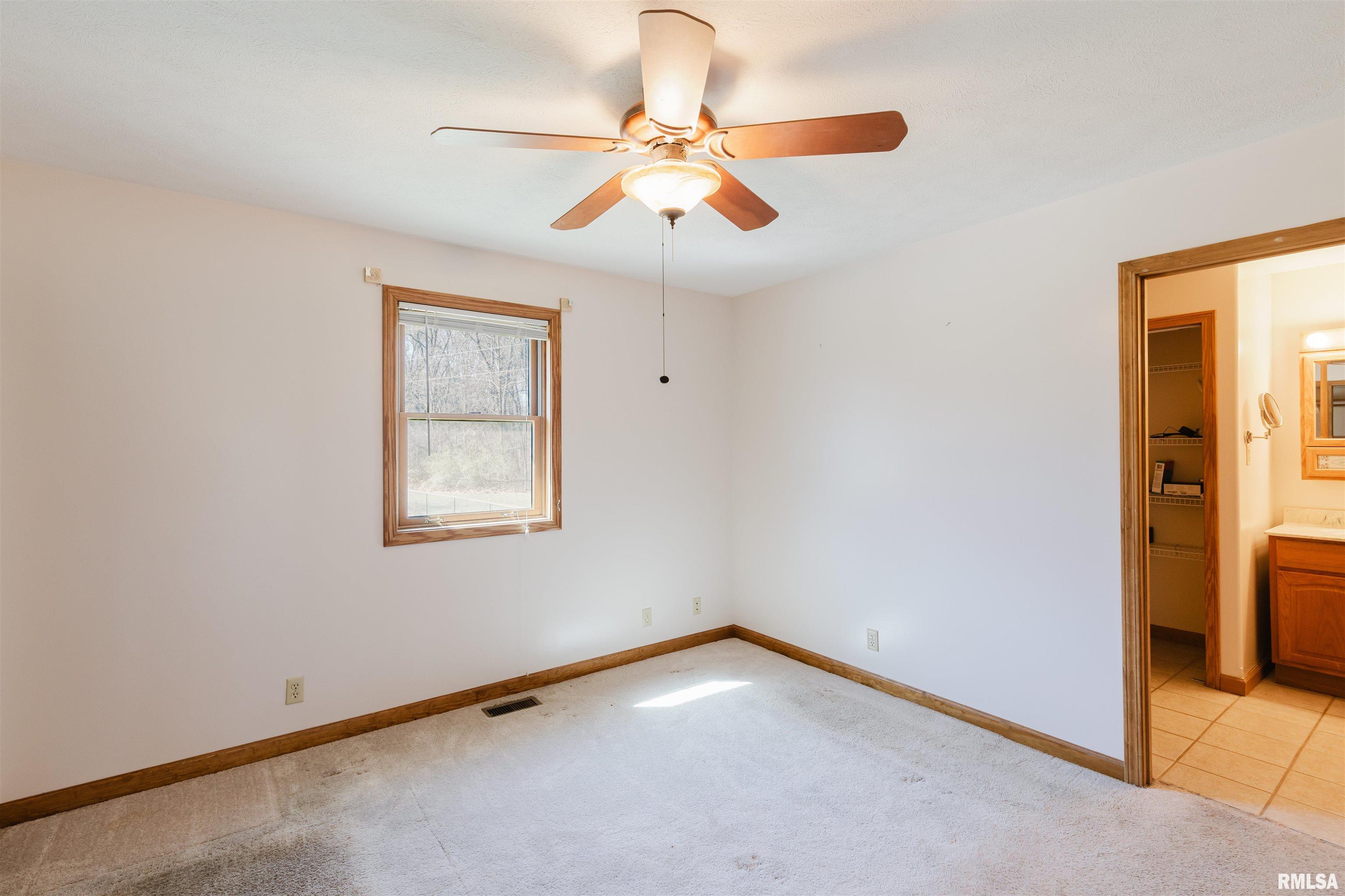 17643 Fowler School Road Pittsburg, IL 62974 - Photo 24 of 62