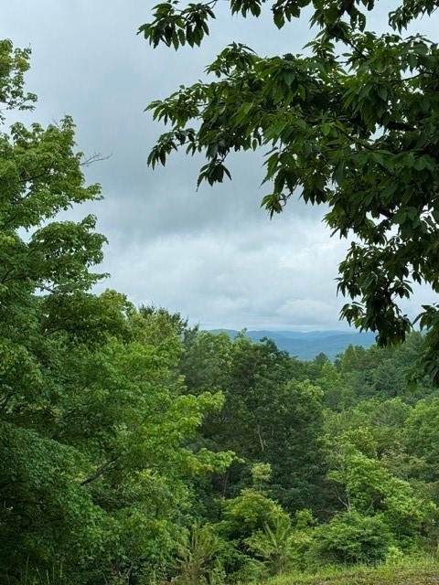 35-36 Big Sky Road Ferguson, NC 28624 - Photo 11 of 23 a view of a garden