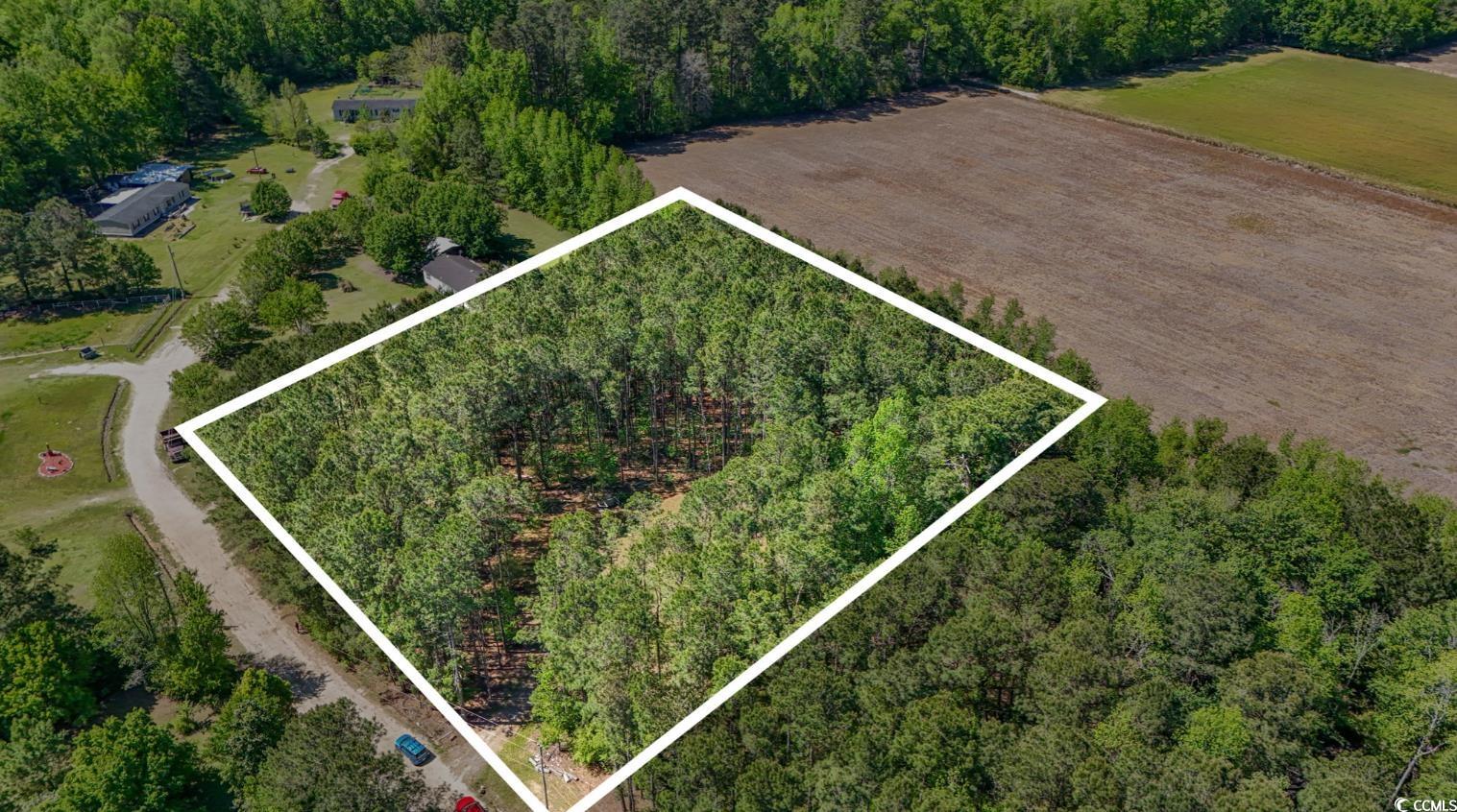 Kickapoo Dr Green Green Sea, SC 29545 - Photo 2 of 10 Aerial view with a view of trees