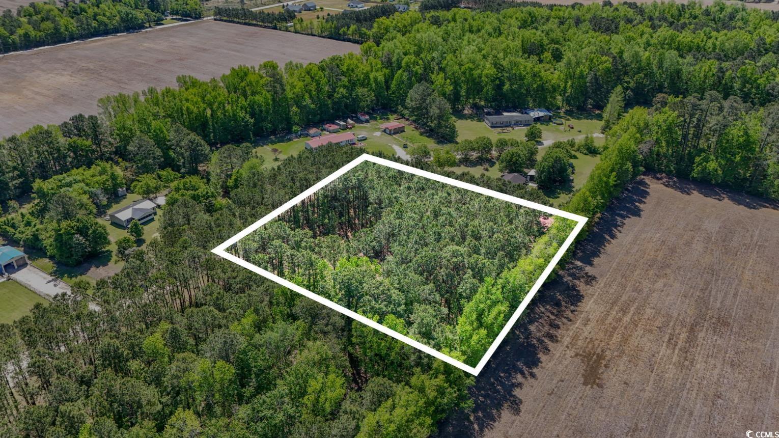 Kickapoo Dr Green Green Sea, SC 29545 - Photo 5 of 10 Bird's eye view with a wooded view