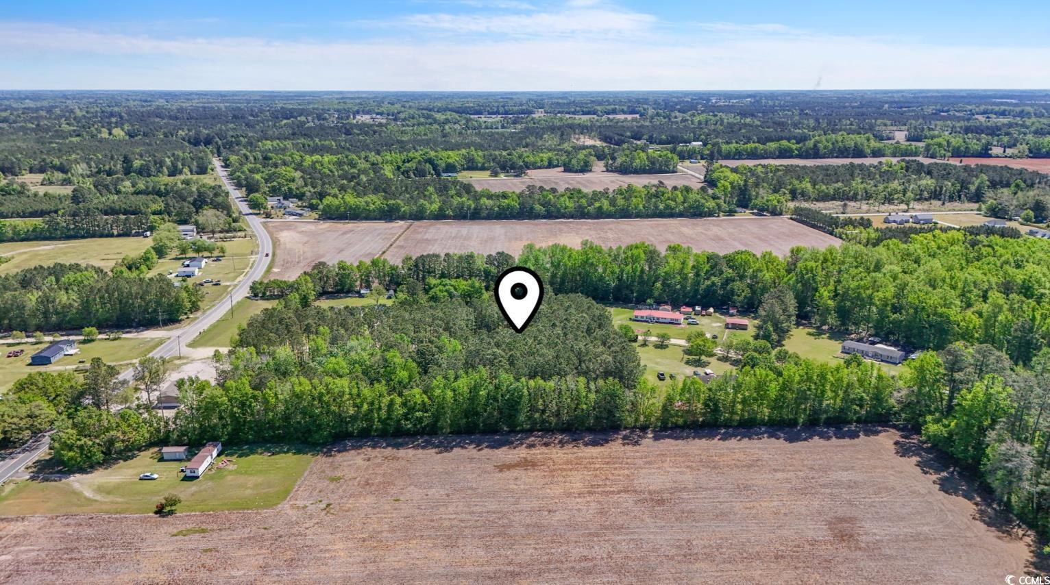 Kickapoo Dr Green Green Sea, SC 29545 - Photo 6 of 10 Bird's eye view