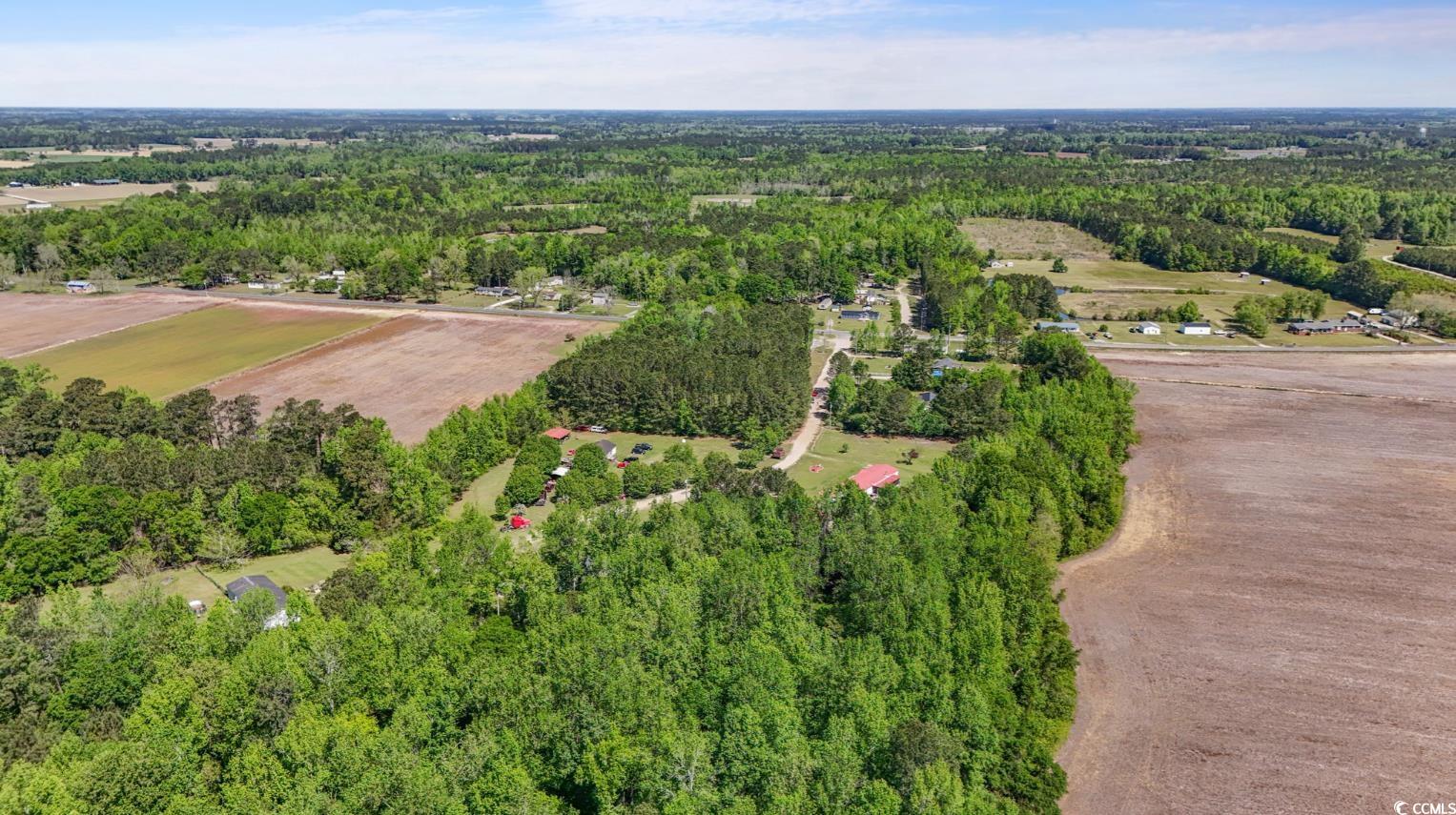 Kickapoo Dr Green Green Sea, SC 29545 - Photo 8 of 10 Birds eye view of property with a forest view