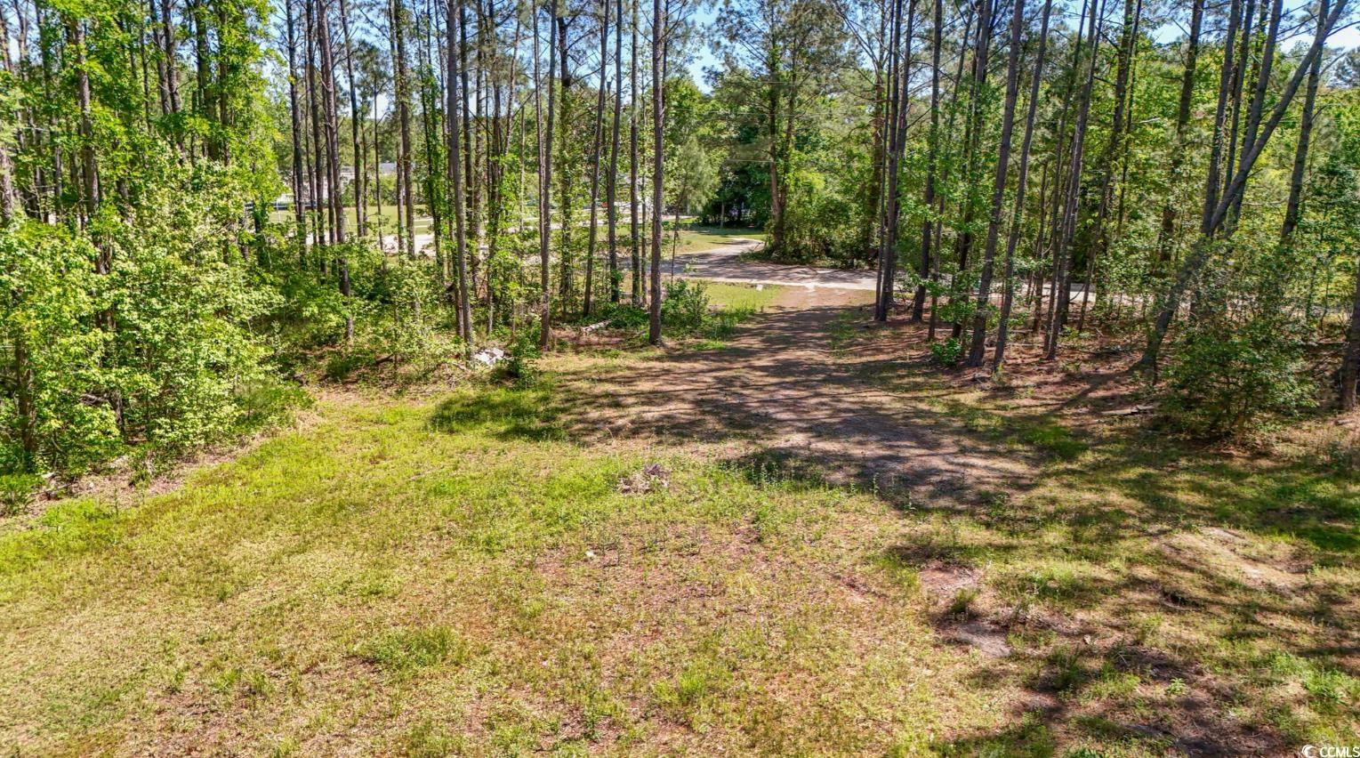 Kickapoo Dr Green Green Sea, SC 29545 - Photo 10 of 10 View of street