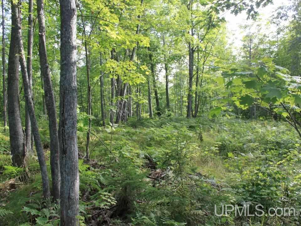 Tbd Shepards Ridge Road Lake Linden, MI 49945 - Photo 17 of 27 Gallery Image 17