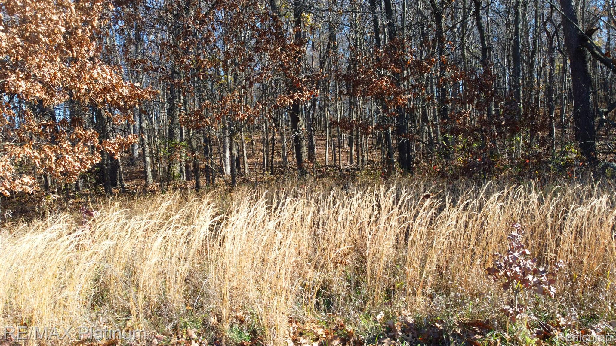 5320 Fenton Road Hartland, MI 48353 - Photo 16 of 16 Gallery Image 16