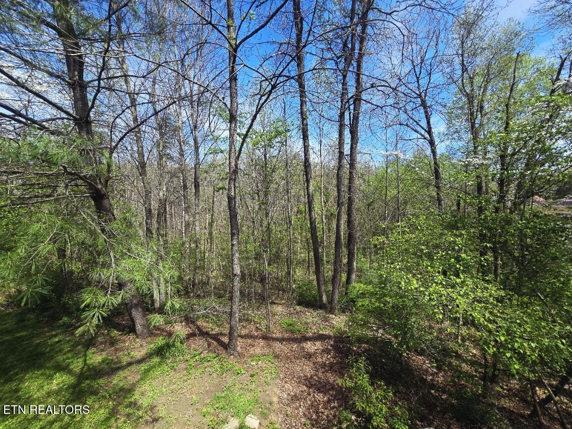 210 Dogwood Avenue Oneida, TN 37841 - Photo 51 of 55 20260406_133502