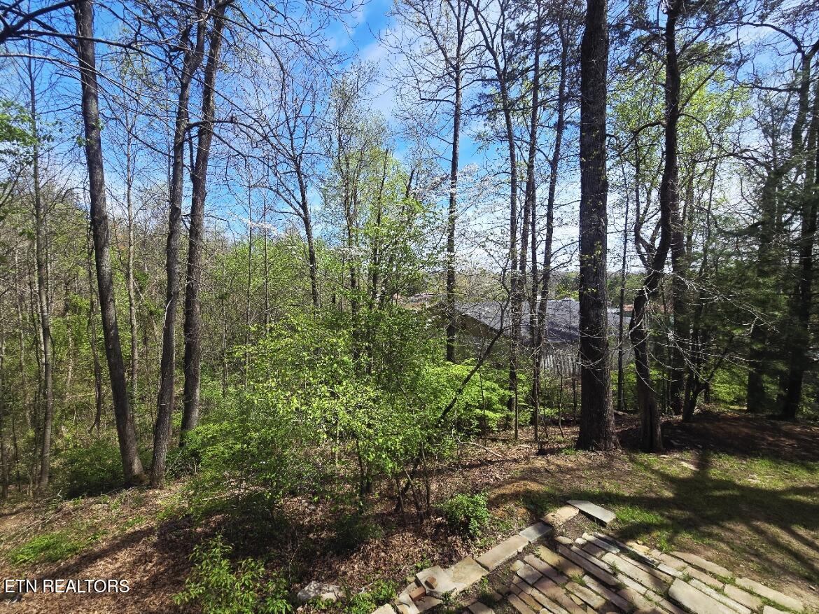 210 Dogwood Avenue Oneida, TN 37841 - Photo 52 of 55 20260406_133515