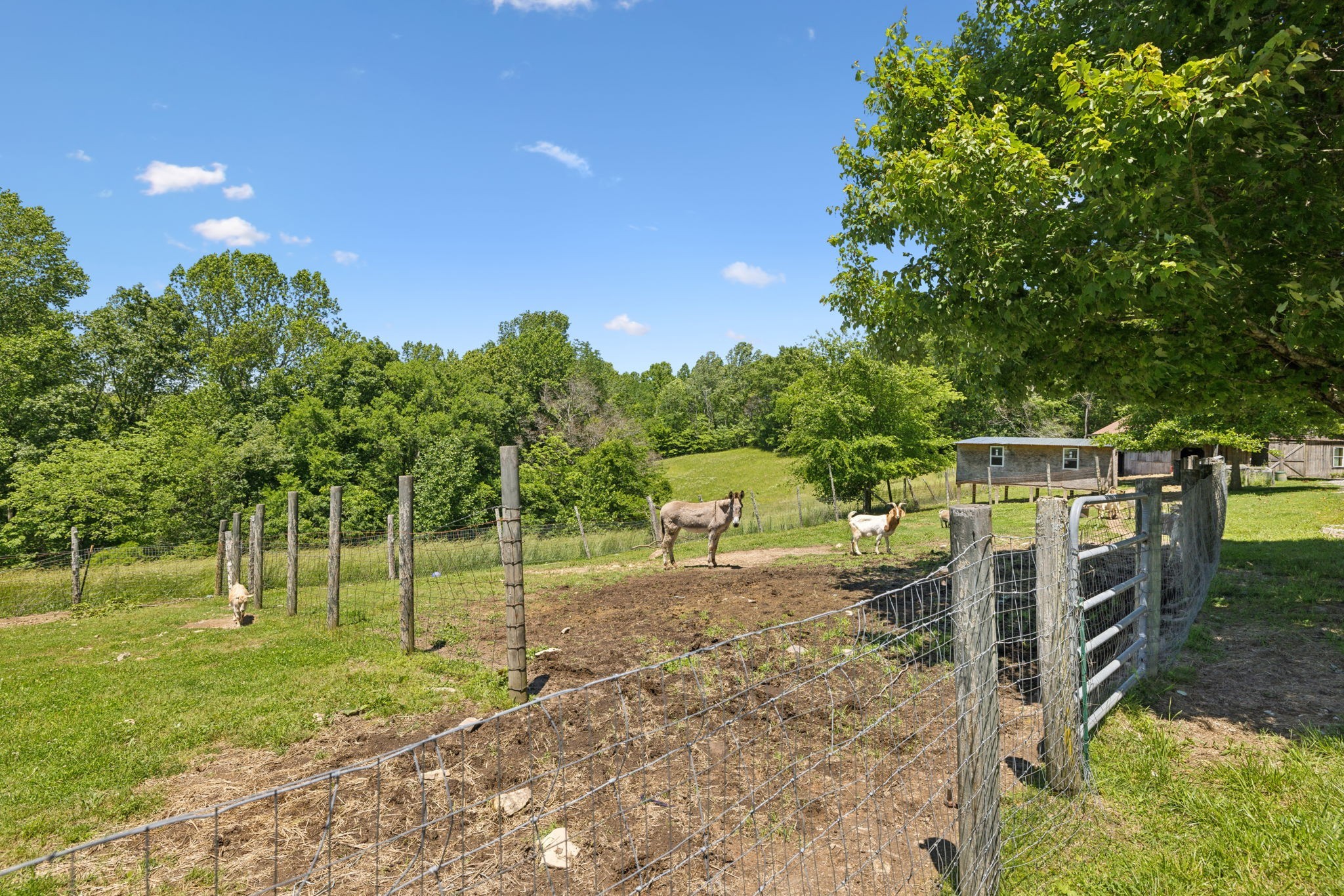 6795 Leipers Creek Road Columbia, TN 38401 - Photo 11 of 98 a view of a park