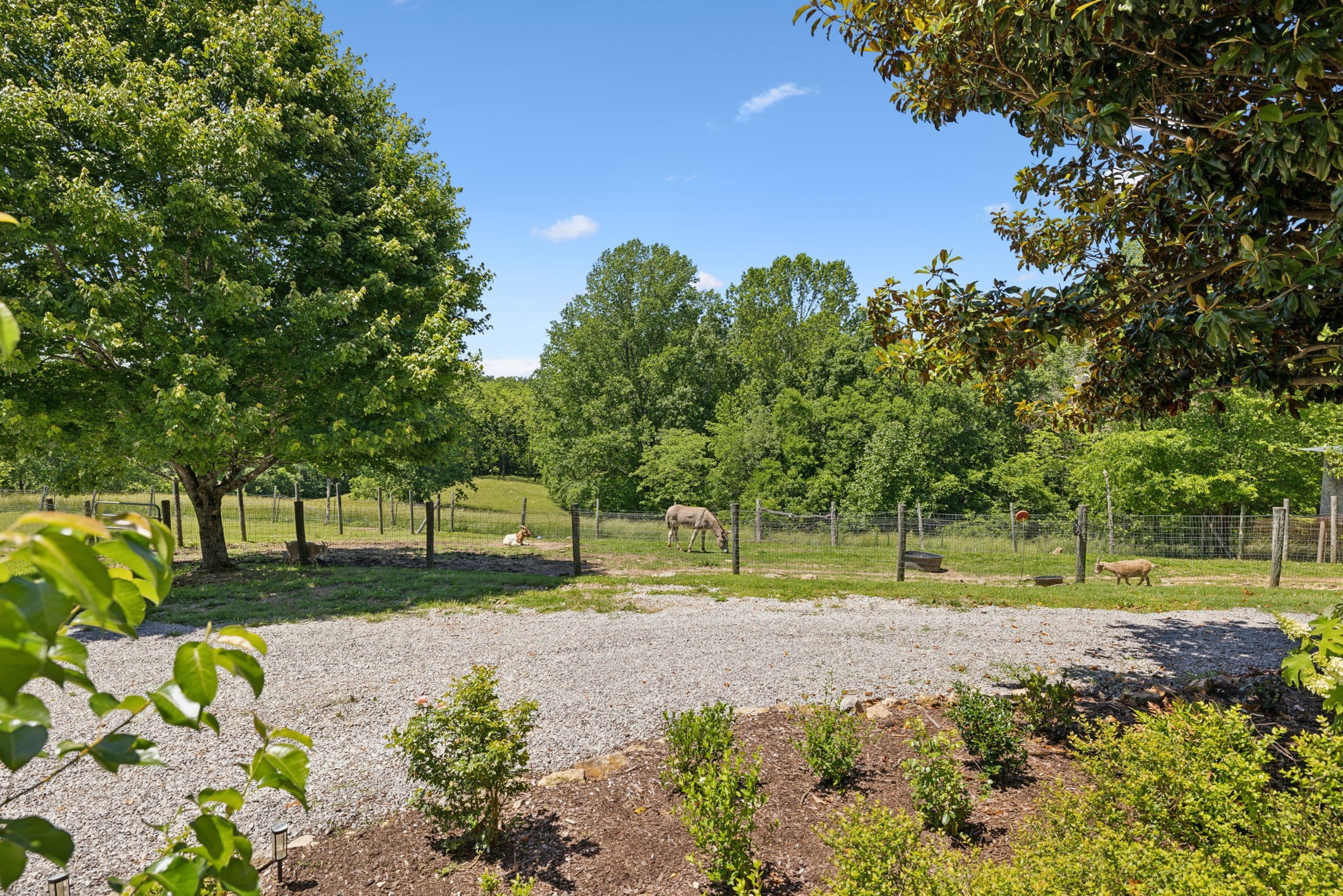 6795 Leipers Creek Road Columbia, TN 38401 - Photo 5 of 98