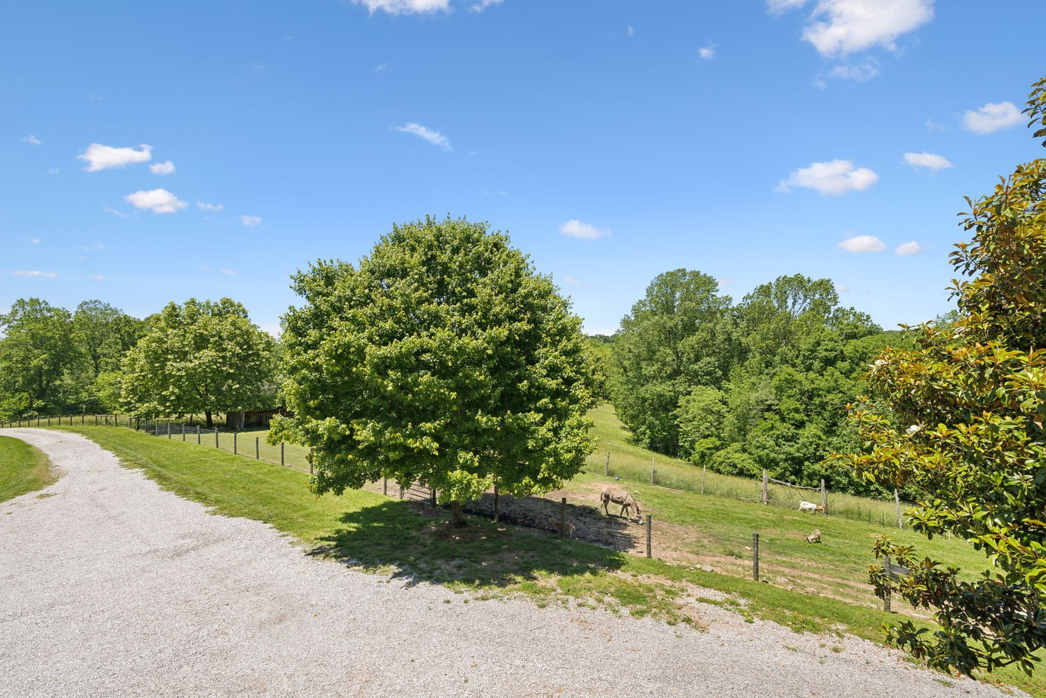 6795 Leipers Creek Road Columbia, TN 38401 - Photo 6 of 98