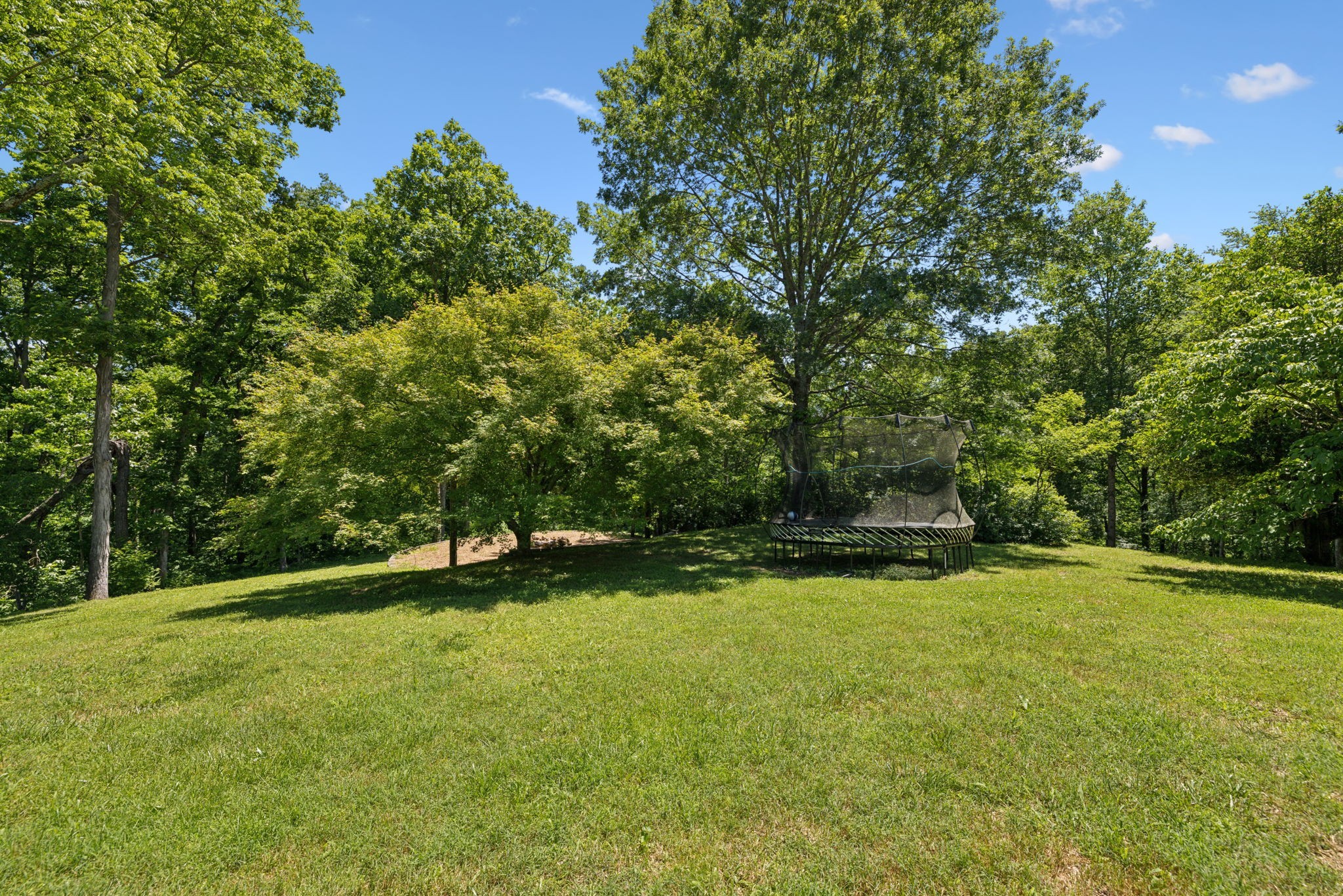 6795 Leipers Creek Road Columbia, TN 38401 - Photo 87 of 98 a view of a field and trees in the background