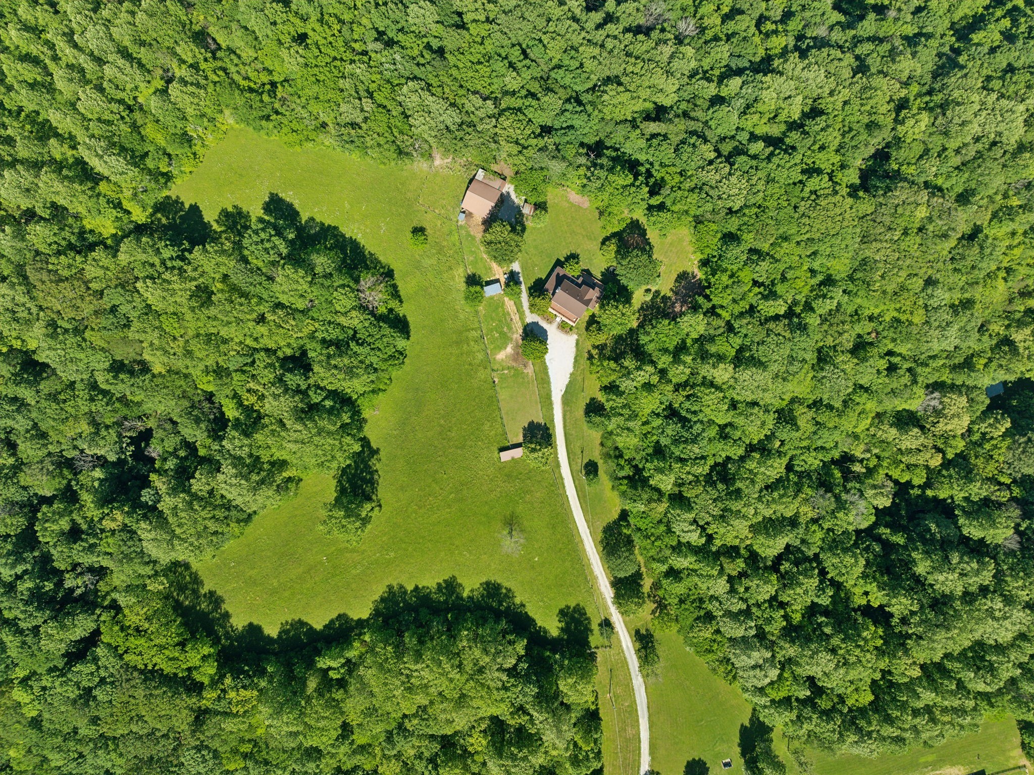 6795 Leipers Creek Road Columbia, TN 38401 - Photo 94 of 98