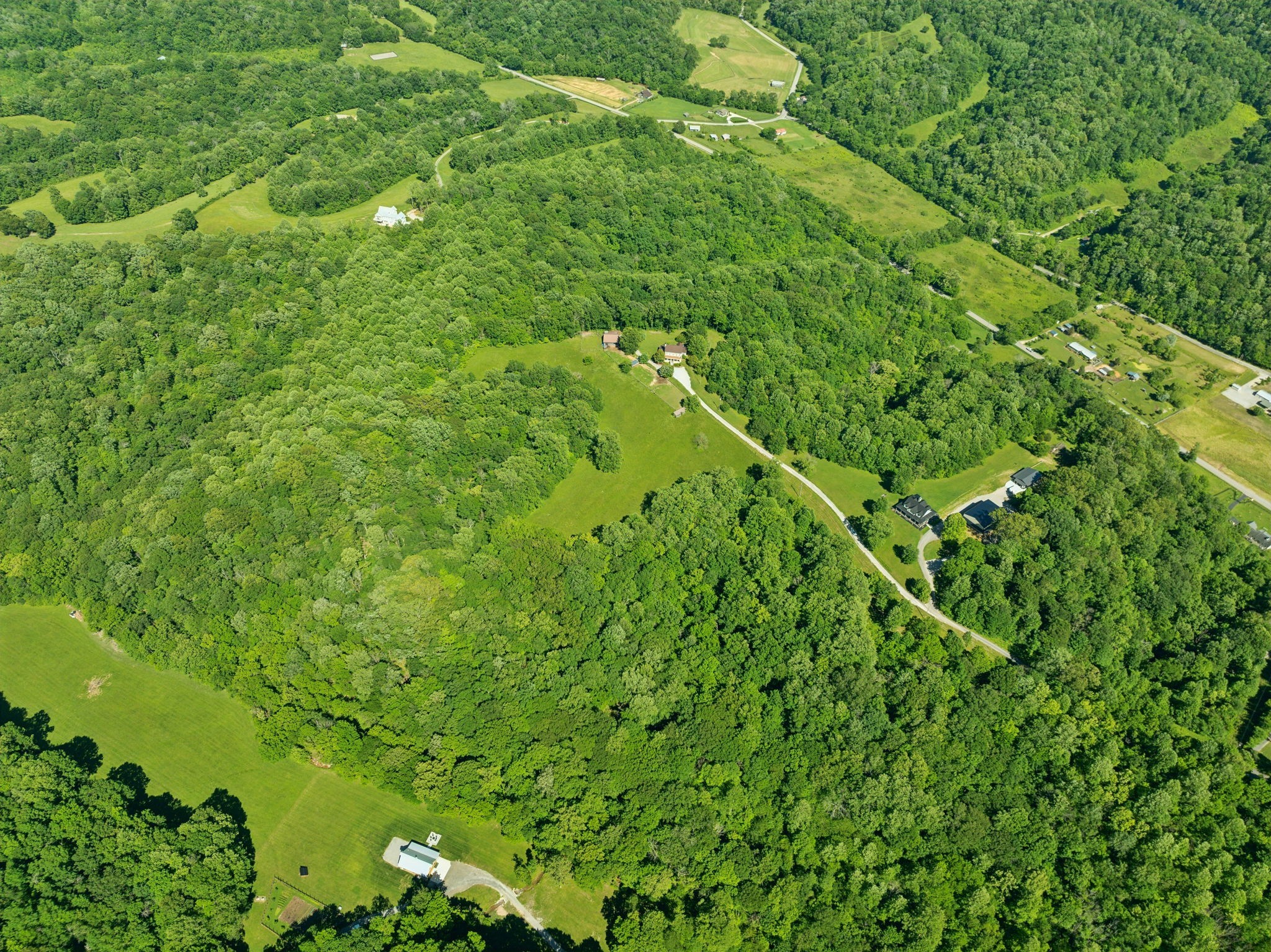 6795 Leipers Creek Road Columbia, TN 38401 - Photo 97 of 98 a view of a lush green forest