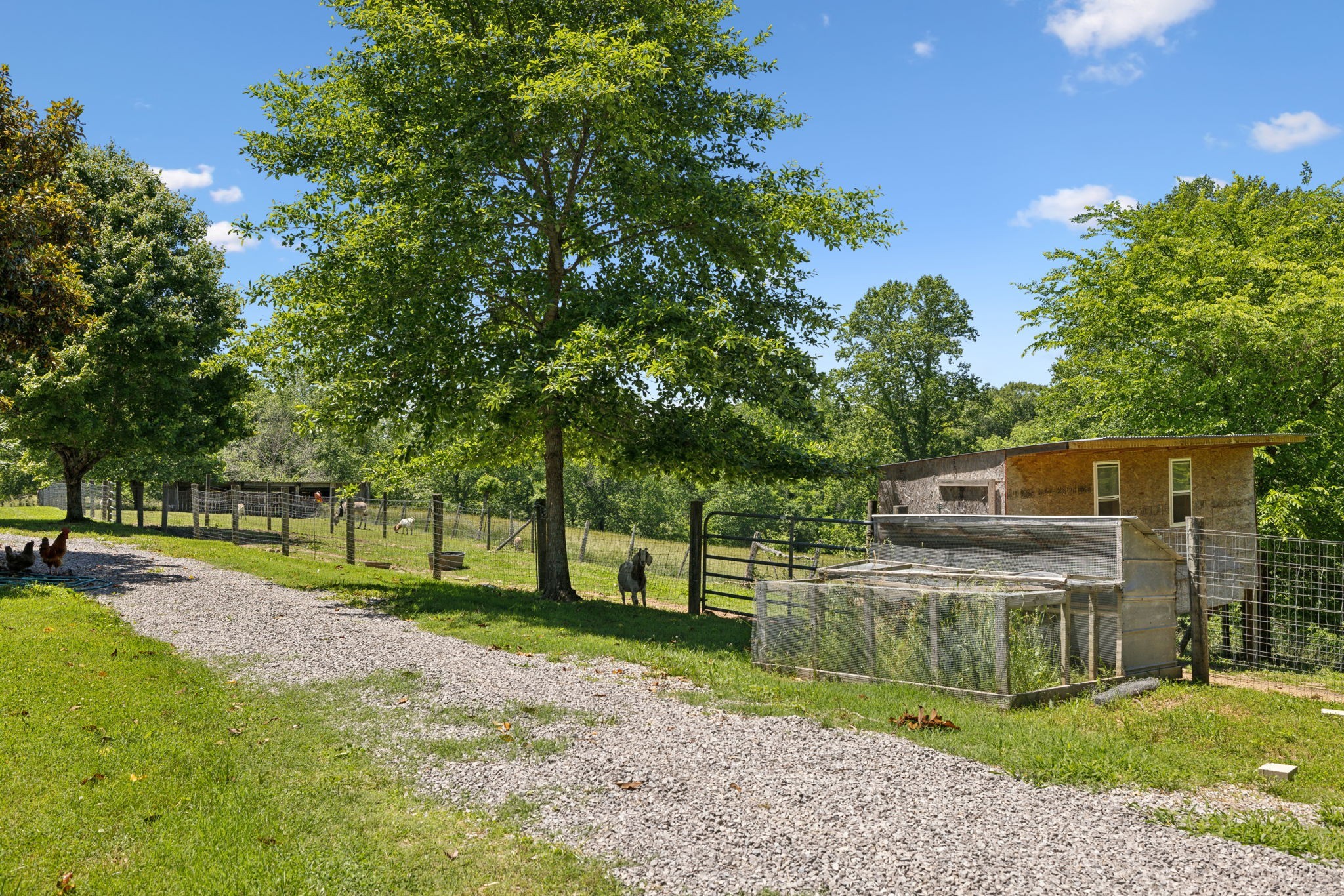 6795 Leipers Creek Road Columbia, TN 38401 - Photo 10 of 98