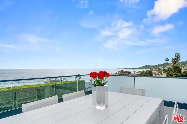 a view of a terrace with a table and a potted plants