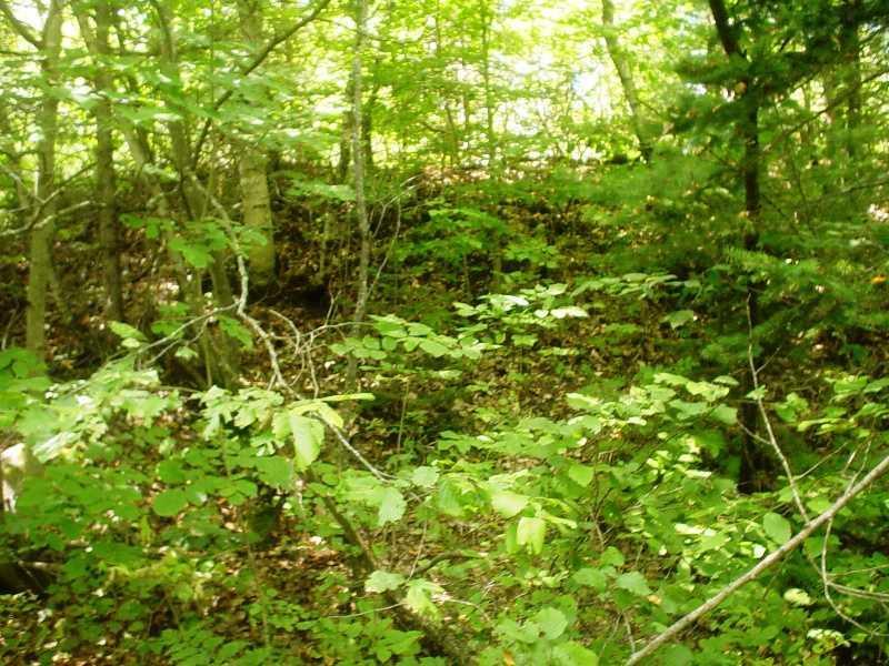 0 Carrabassett Road New Portland, ME 04961 - Photo 8 of 9 Land/Lot. Elevated land area