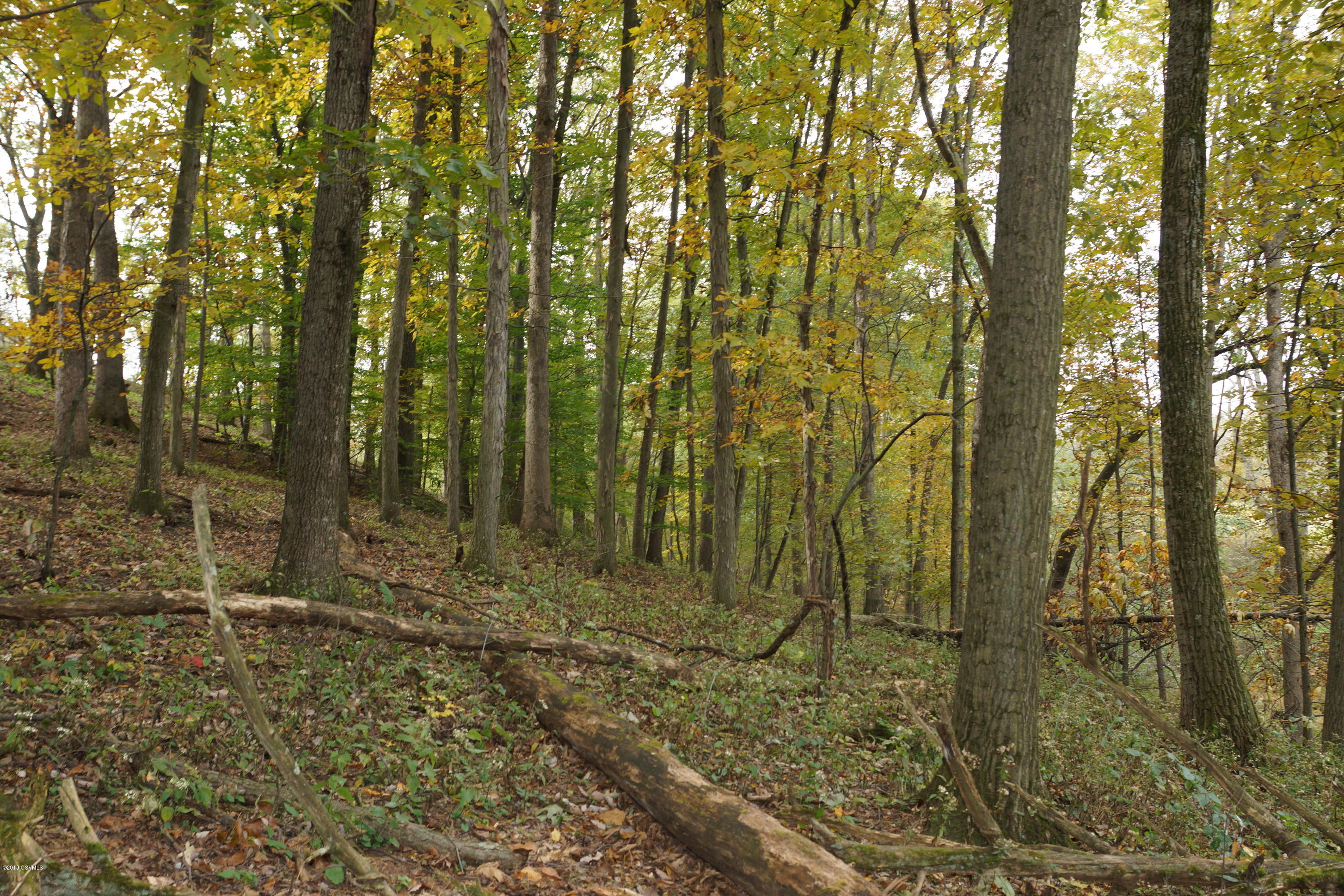 Lot 4 Milroy Road New Columbia, PA 17856 - Photo 26 of 27