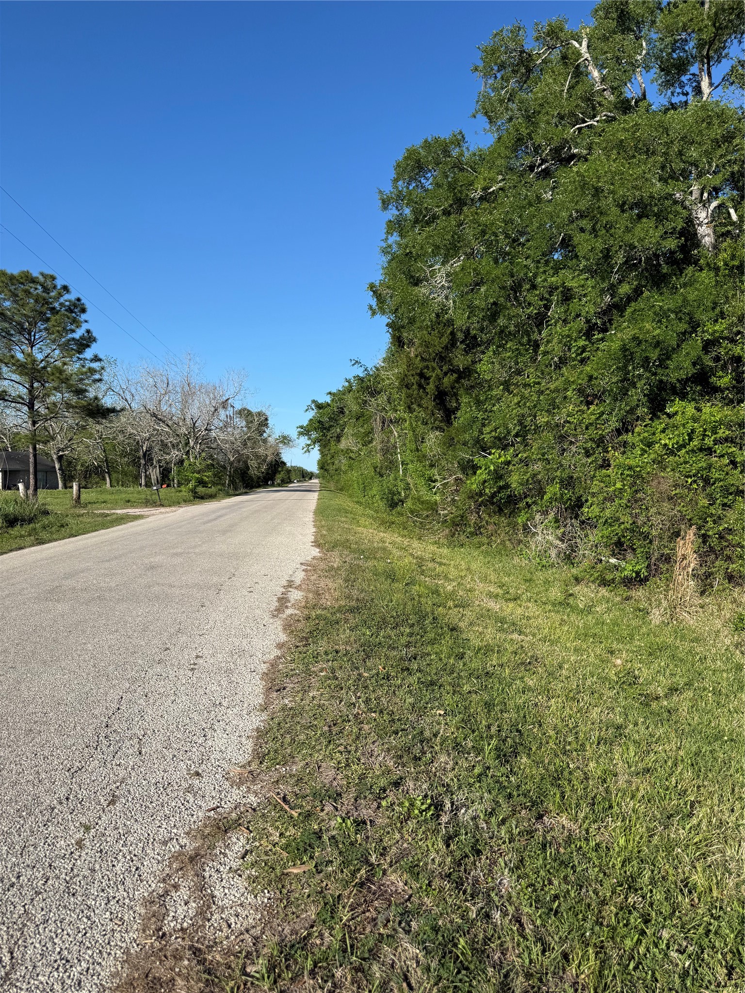 281 Rd Sargent Tx 77414 Road Sargent, TX 77414 - Photo 2 of 23 a view of a lush green space