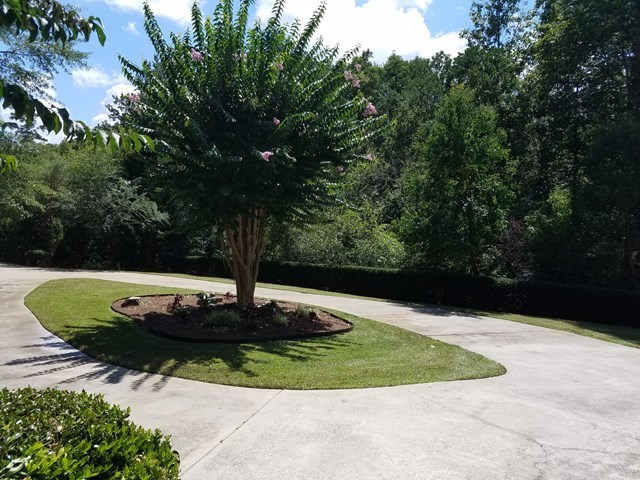 722 Bass Road Macon, GA 31210 - Photo 39 of 40 a view of a garden