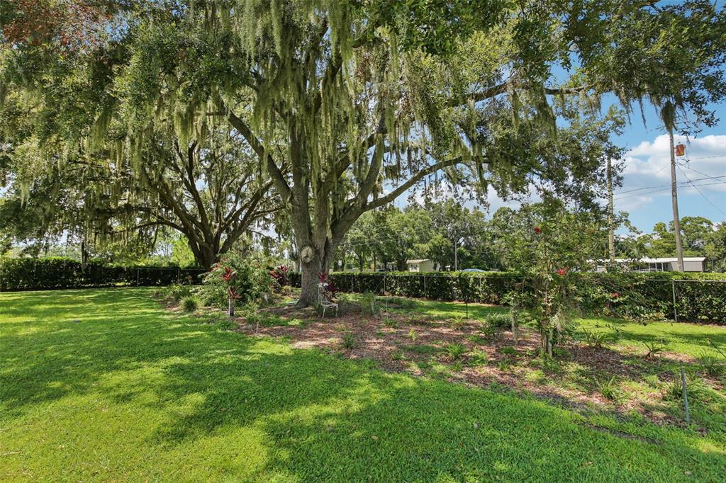 6201 Bob Head Road Plant City, FL 33565 - Photo 27 of 31 Gallery Image 27
